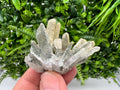 Quartz whit Brown Rhodochrosite from Djurcovo mine,Bulgaria,Quartz,Rhodochrosite cluster,natural mineral,collection crystal,mineral specimen