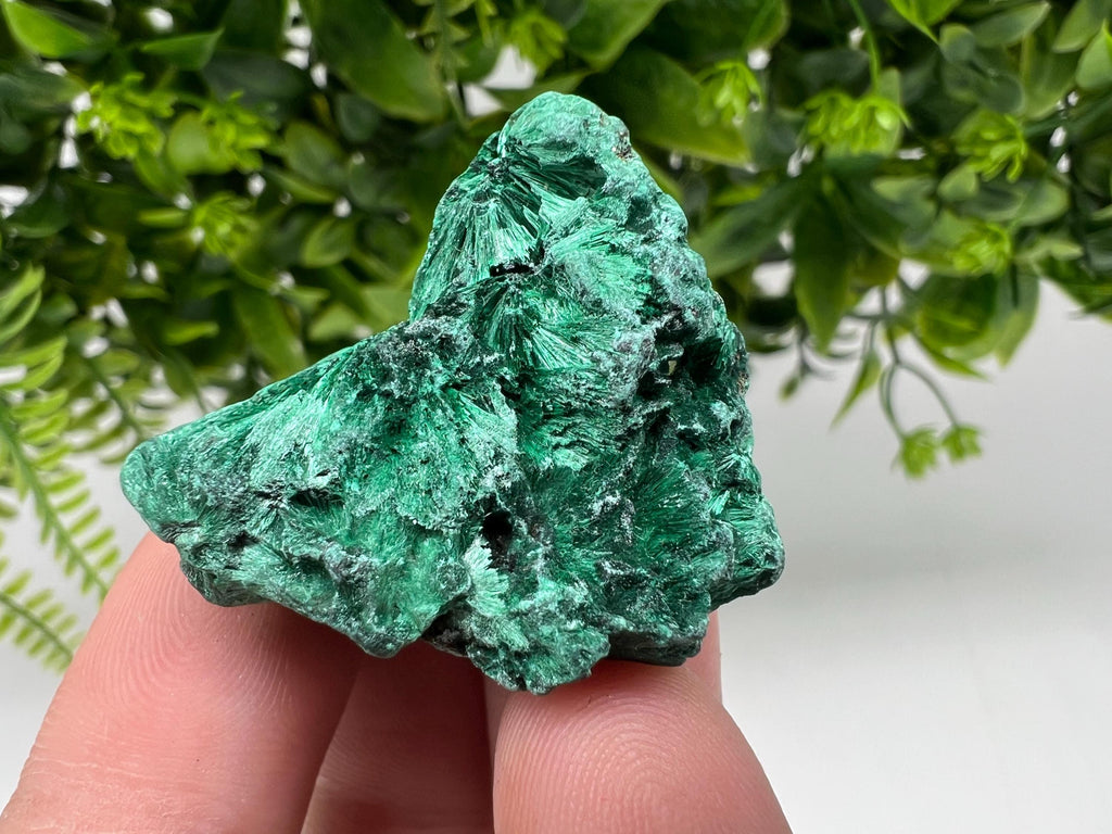 Malachite Crystal from Congo,Minerals,Crystals from Congo,Green Malachite, Malachite,Natural Malachite,Malachite Stone,Chakra, Specimens