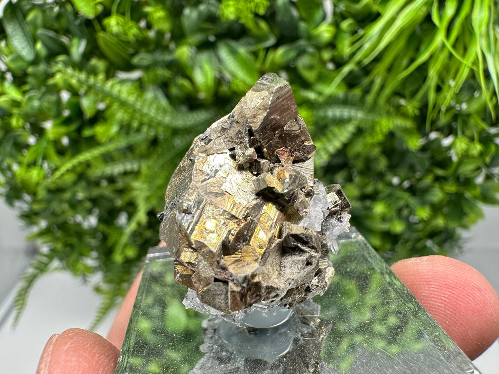 Rainbow Pyrite Hematite Cluster: Borieva Mine, Bulgaria