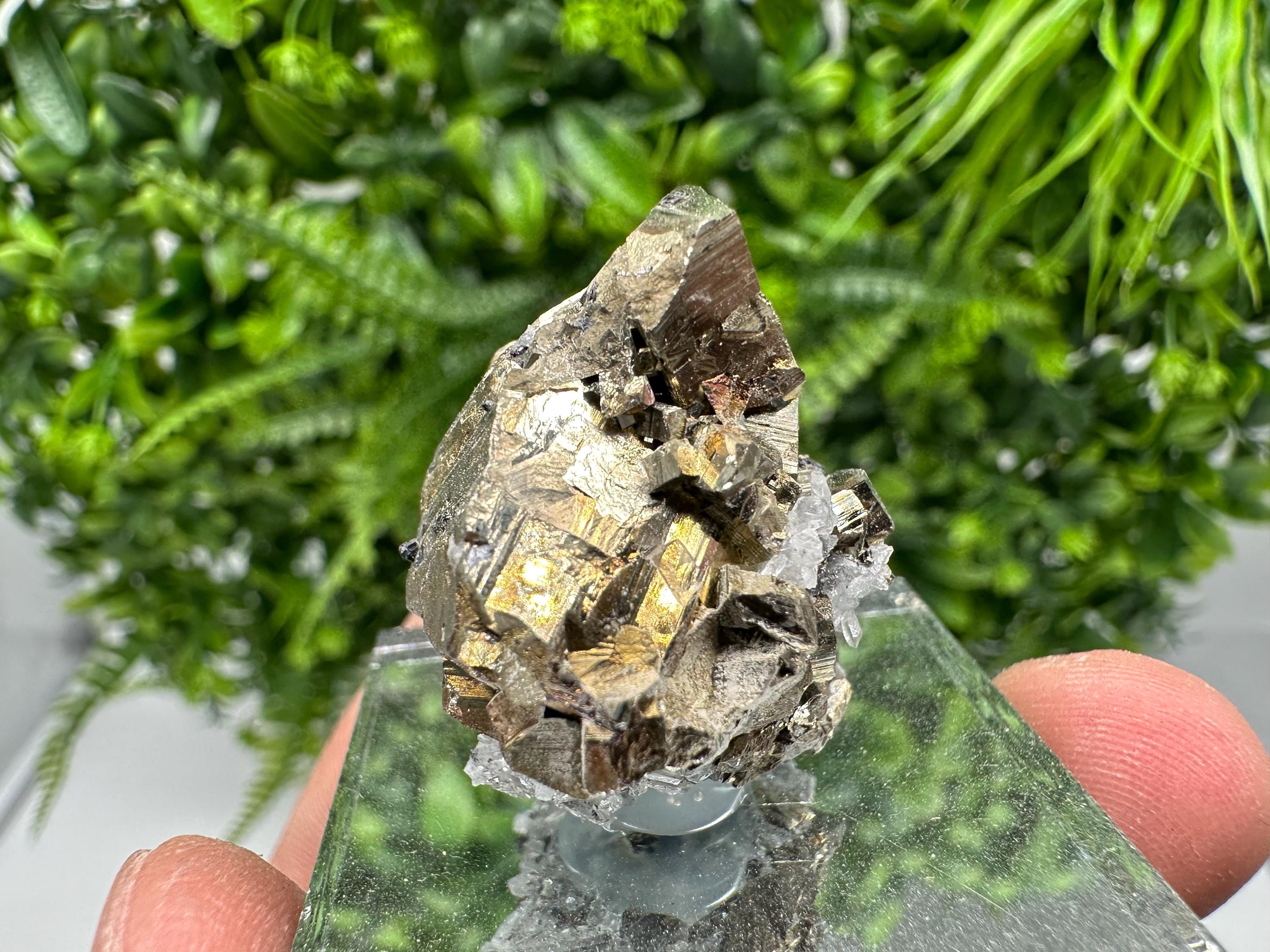 Rainbow Pyrite Hematite Cluster: Borieva Mine, Bulgaria