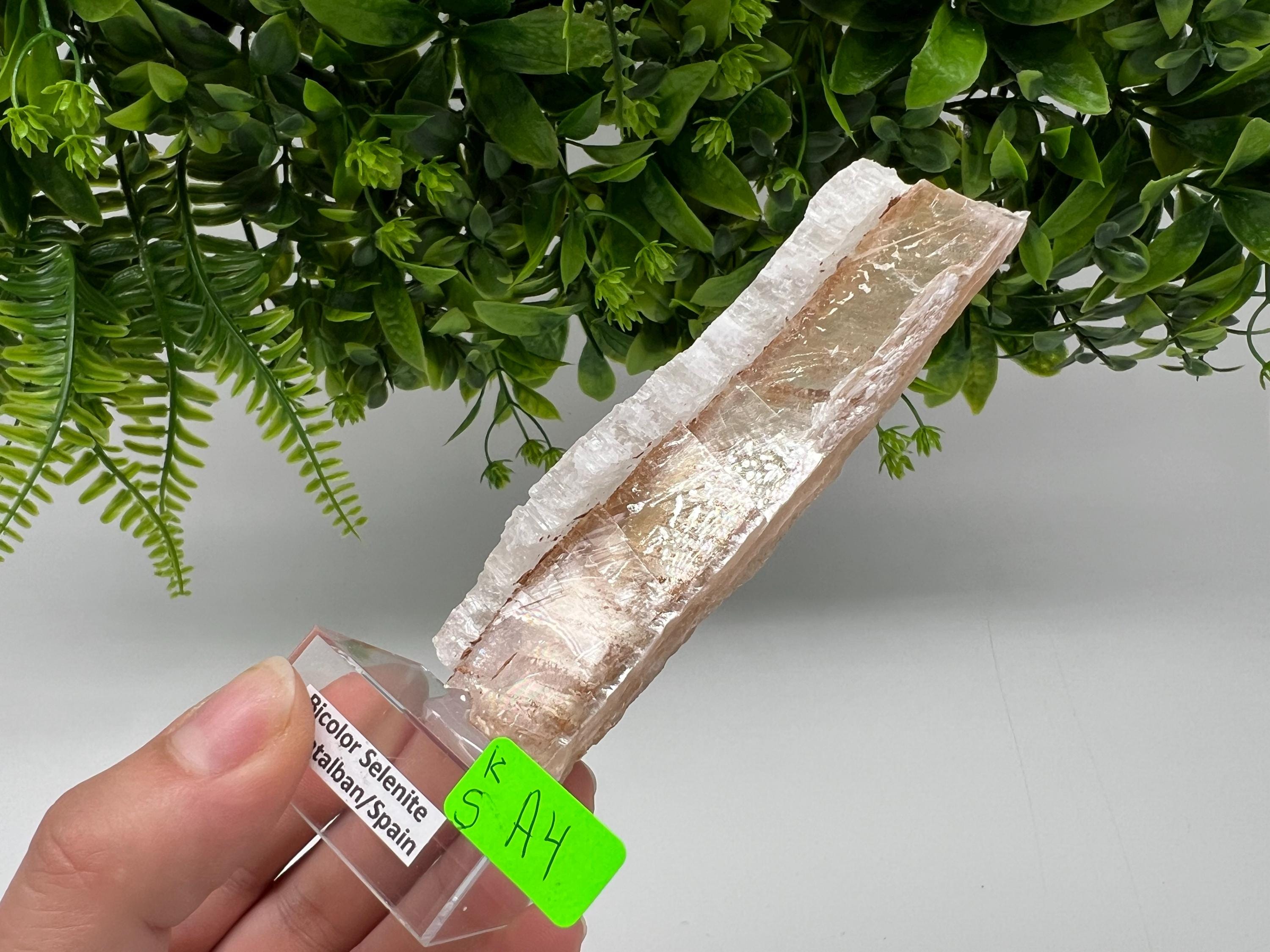 Golden Phantom Selenite Slab: Utah Raw Fishtail Selenite Wand