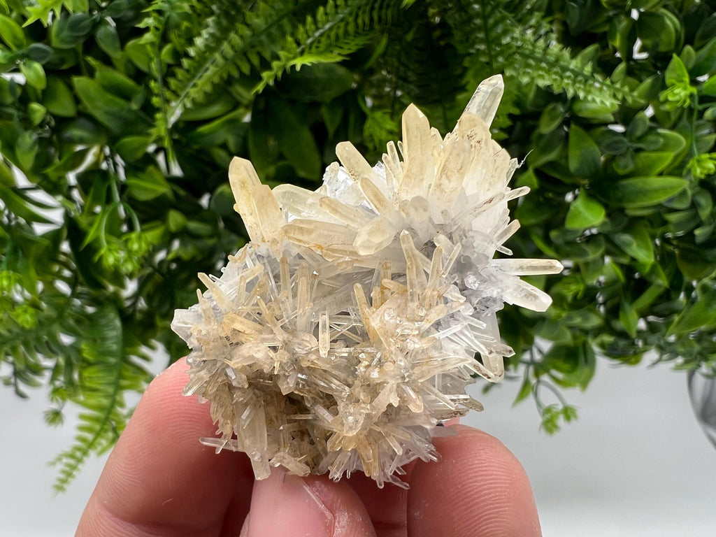 Stunning Quartz from 9 th September mine,Bulgaria,Quartz iron oxide limonite quartz,yellow Quartz,natural collection mineral specimen,home