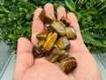 Tigers Eye Tumbled Stone: Zodiac Healing Crystal