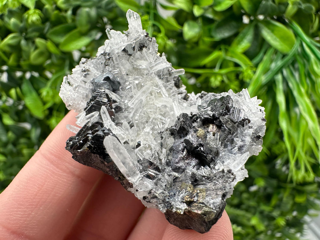 Wonderful Sphalerite Chalcopyrite on  Quartz whit Galena feom 9 th September mine,Bulgaria,natural,collection mineral specimen,gift