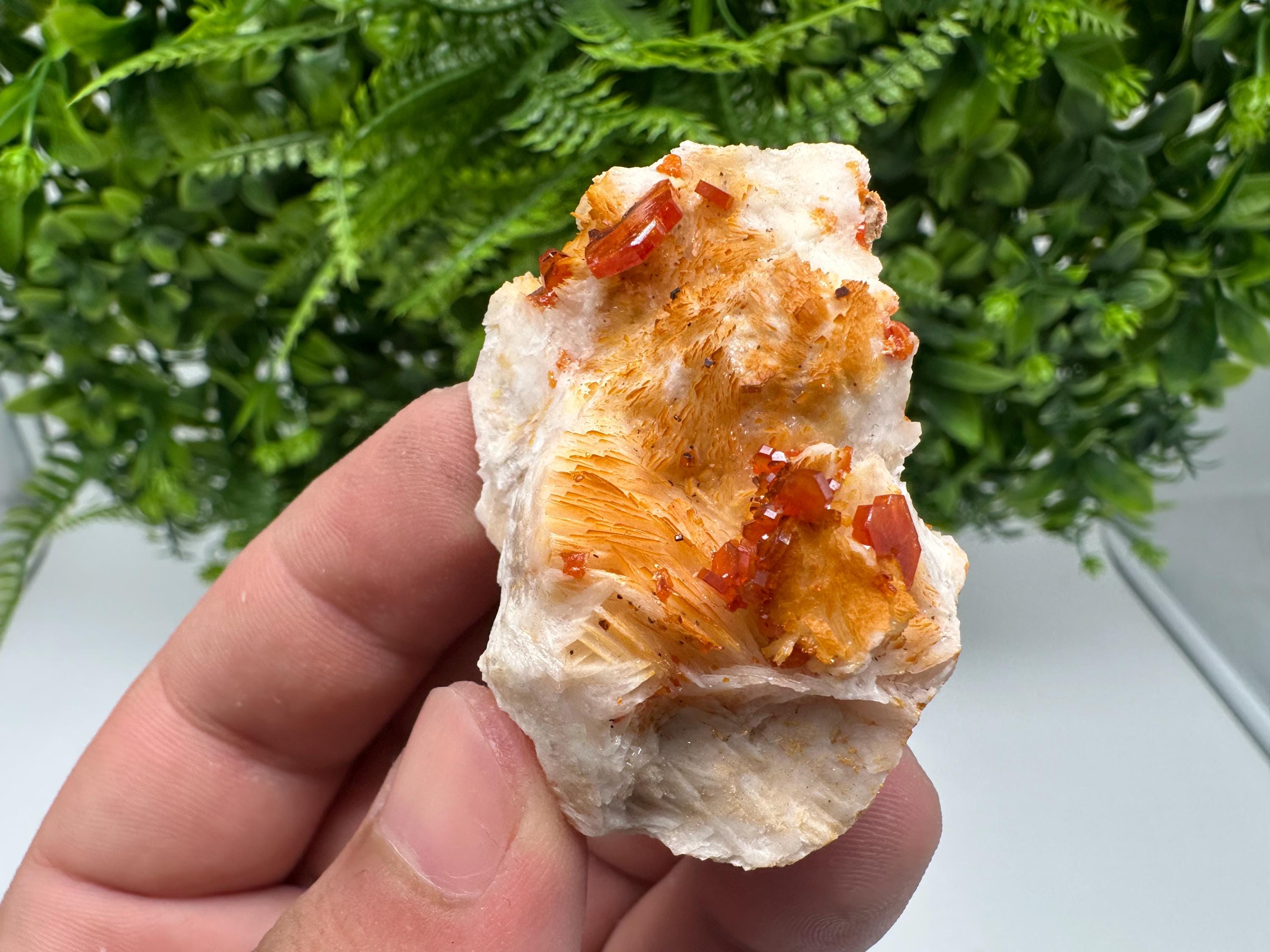 Red Vanadinite on Barite from Marocco,crystal minerals Speciment cluster Vanadinite crystal Vanadinite Geology Vanadinite cluster minerals