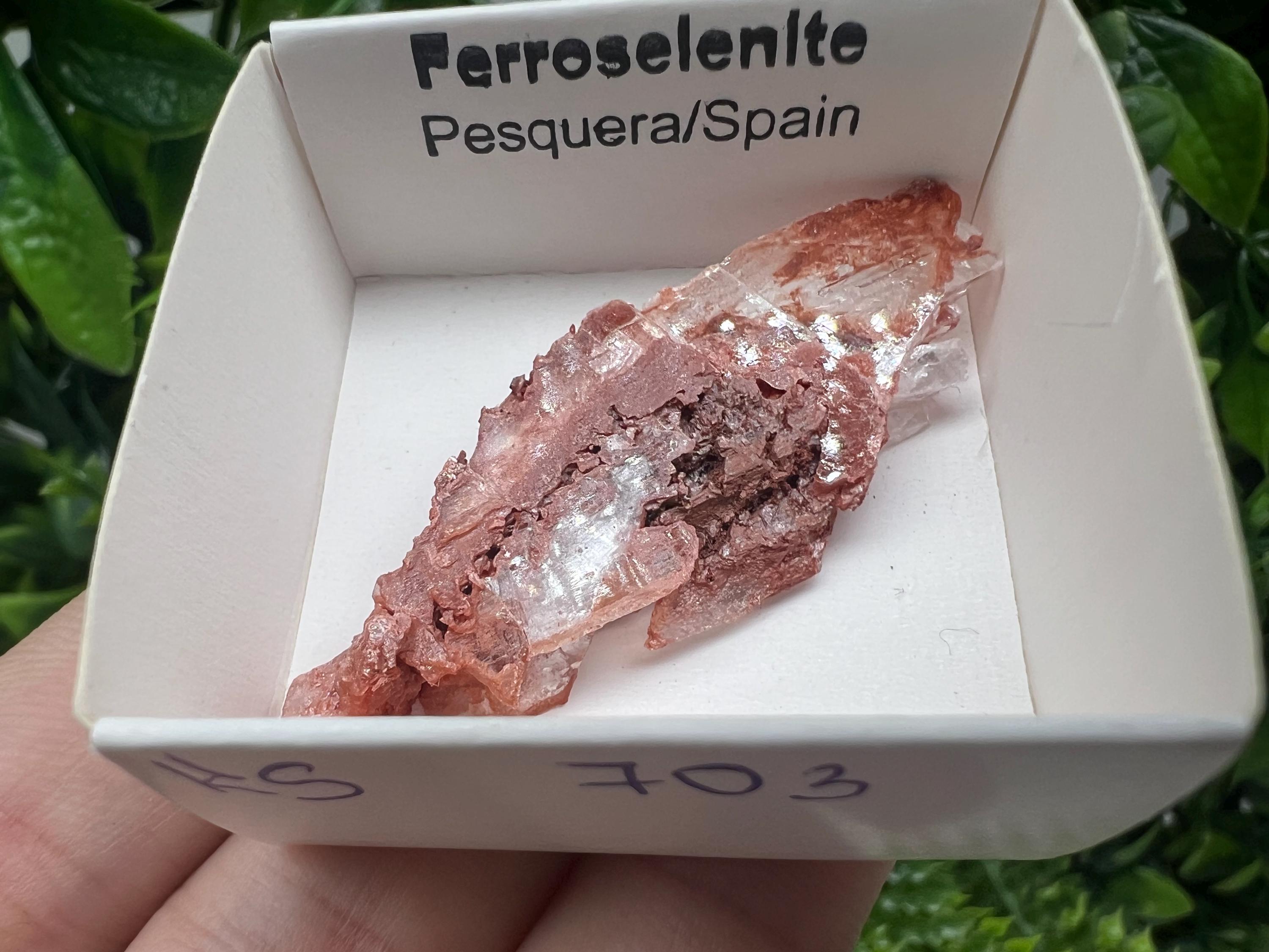 Rare Ferroselenite Specimen: La Pesquera, Spain Mineral (5/2 cm)