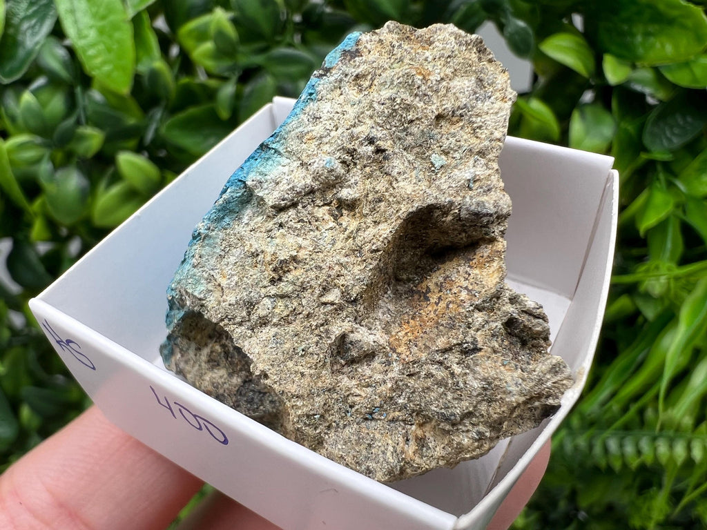 Rare Raw Aerinite Mineral Specimen: Lleida Spain Collection Crystal