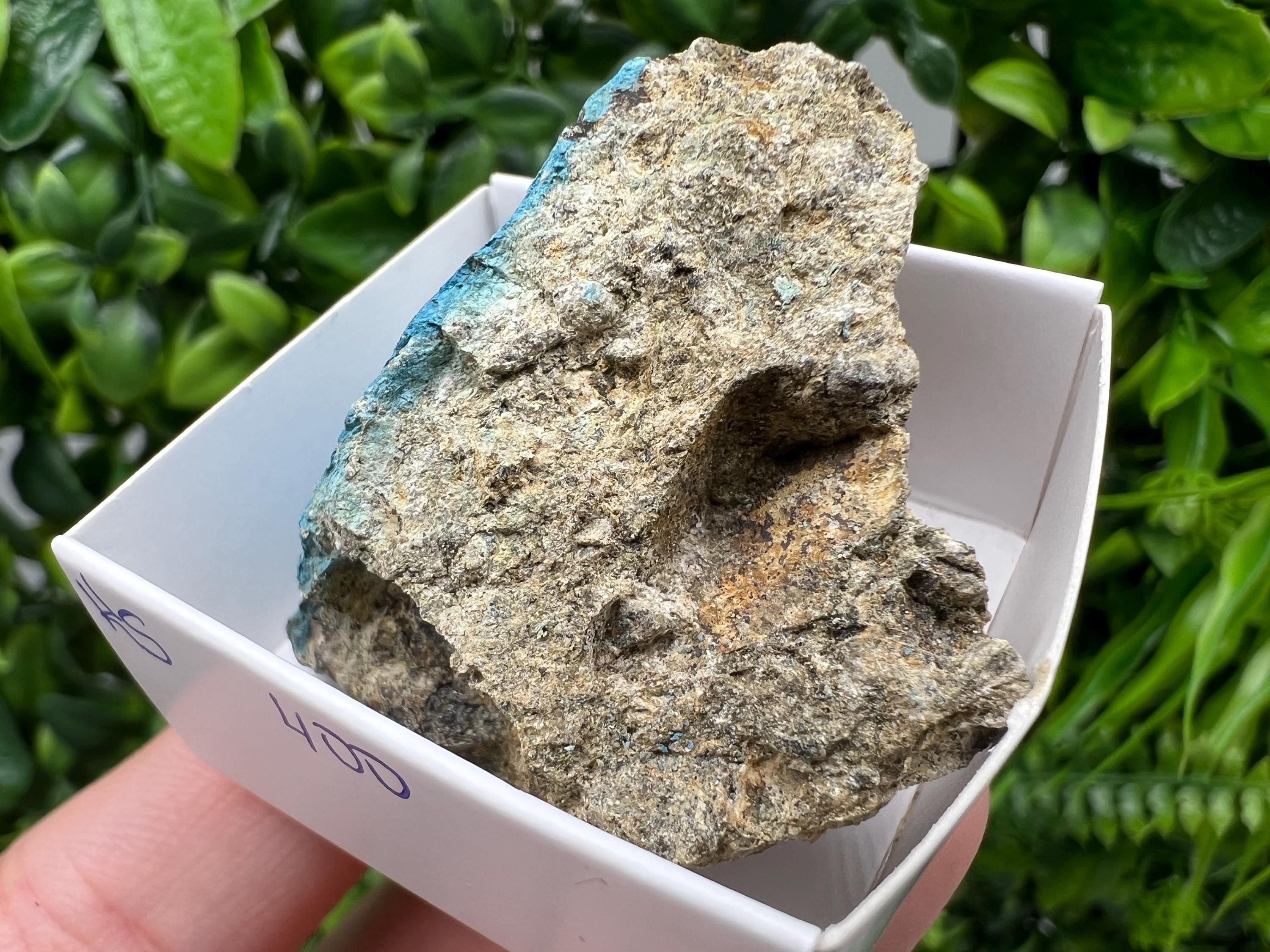 Rare Raw Aerinite Mineral Specimen: Lleida Spain Collection Crystal