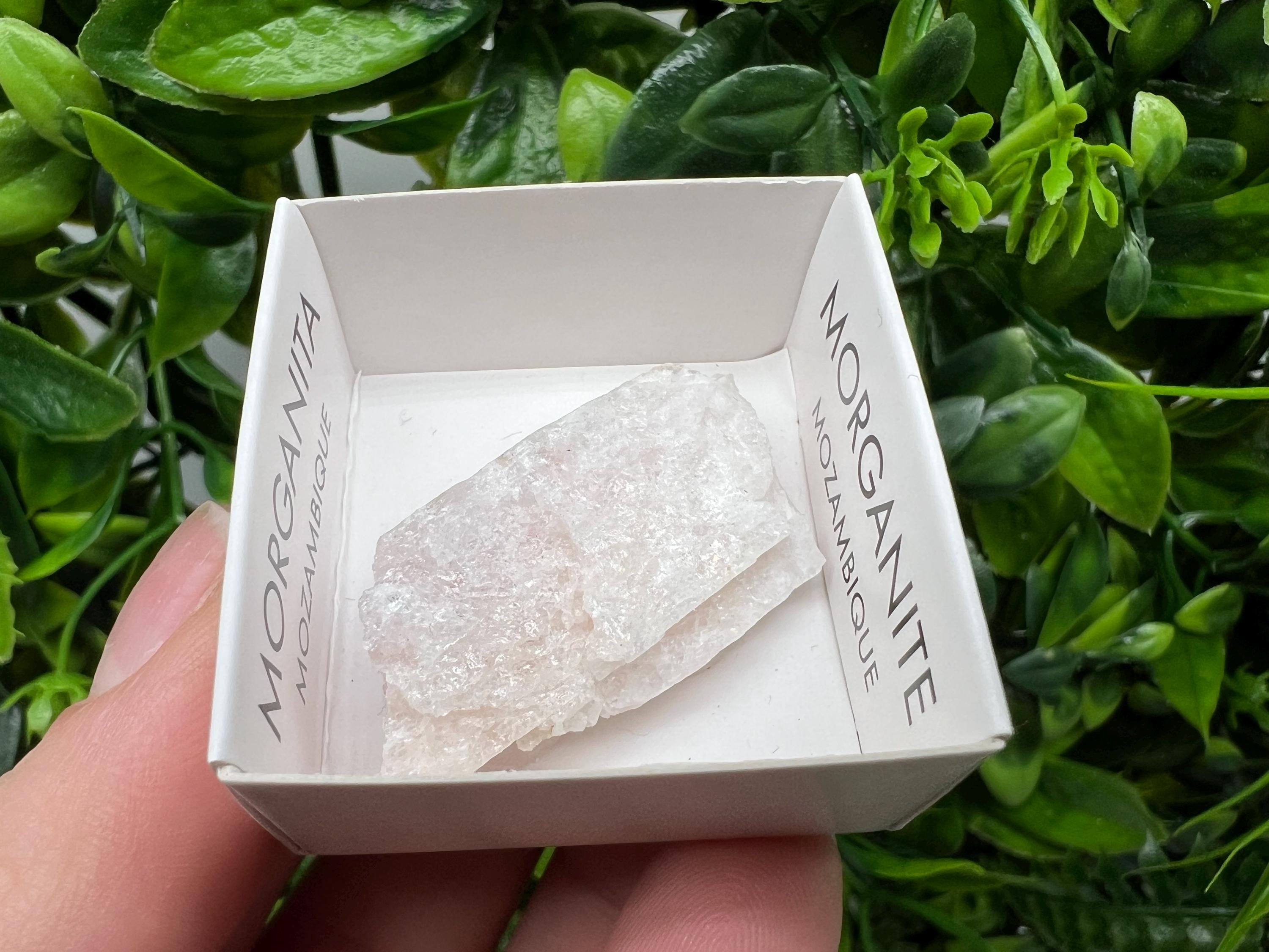 Rare Raw Morganite Specimen: Mozambique Crystal Mineral