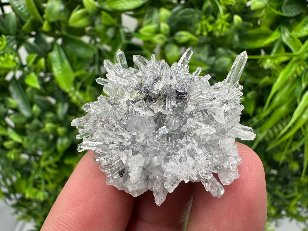 Chlorite Quartz Crystal Cluster - Borieva Mine, Bulgaria