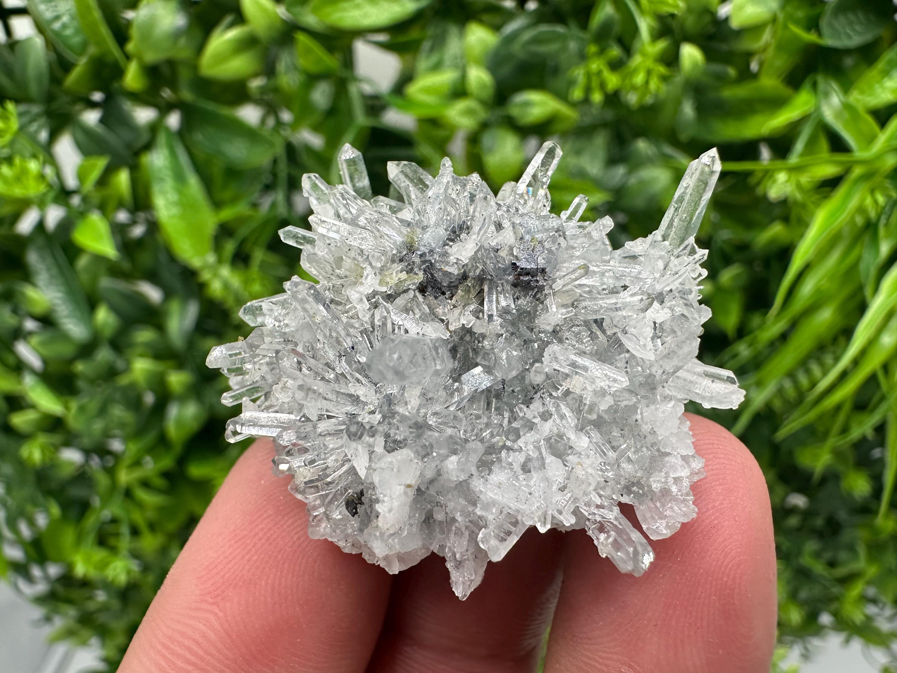 Chlorite Quartz Crystal Cluster - Borieva Mine, Bulgaria