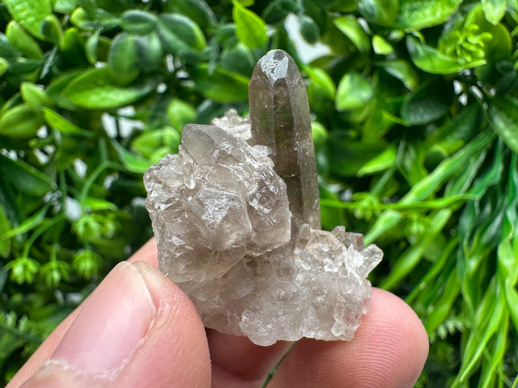 Rare Smoky Quartz Crystal Cluster, Brazil Mineral Specimen