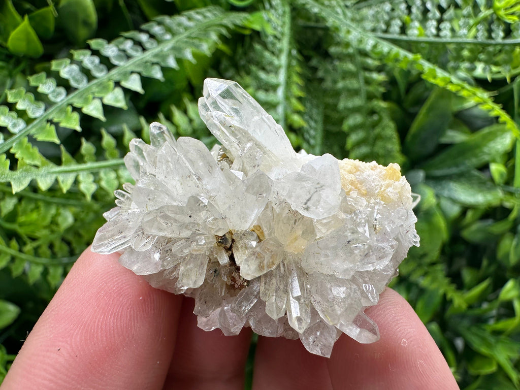 Quartz with Pyrite, Djurcovo Mine Bulgaria, Mineral Souvenir