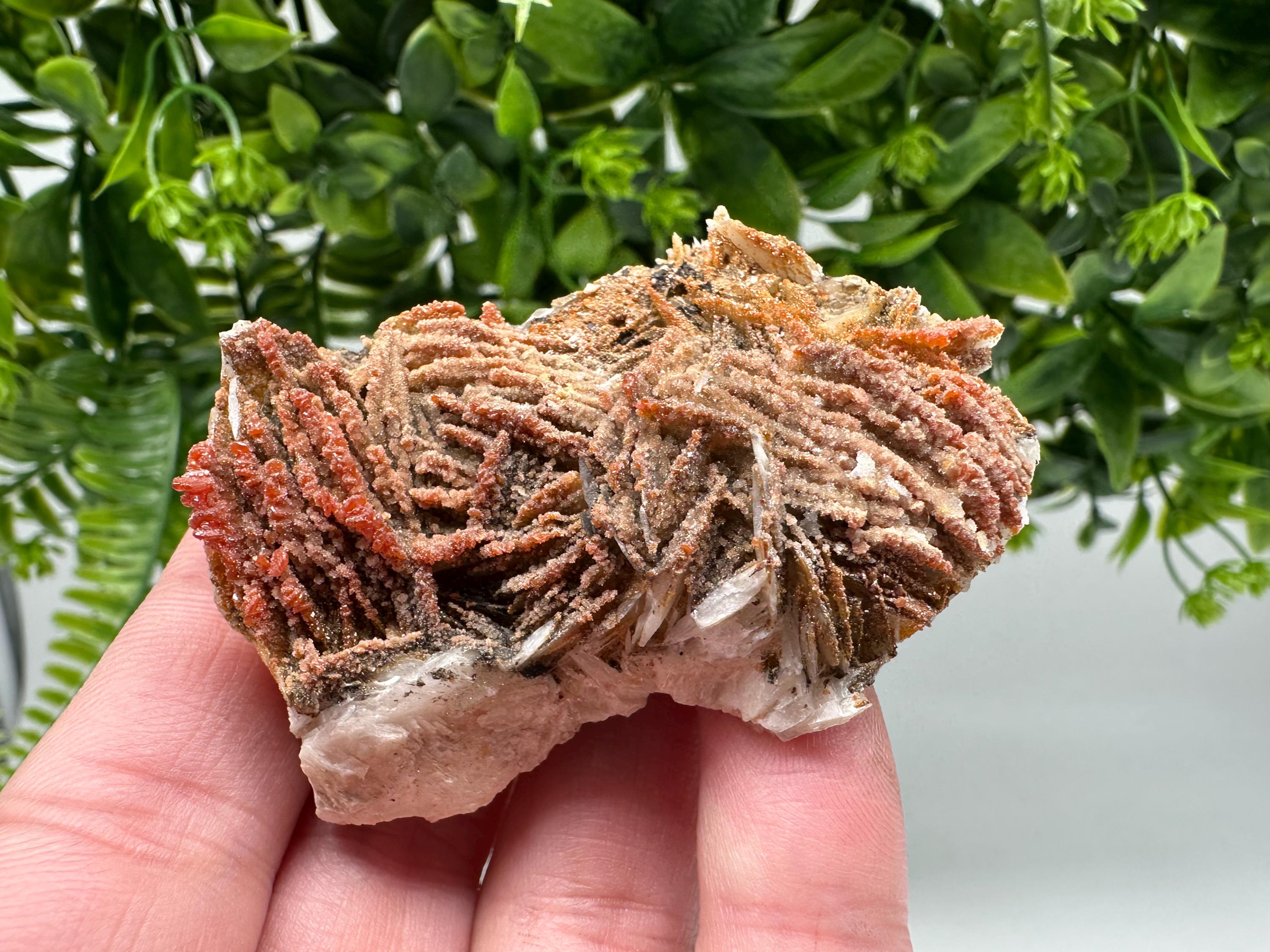 Red Vanadinite on Barite from Marocco,crystal minerals Speciment cluster Vanadinite crystal Vanadinite Geology Vanadinite cluster minerals