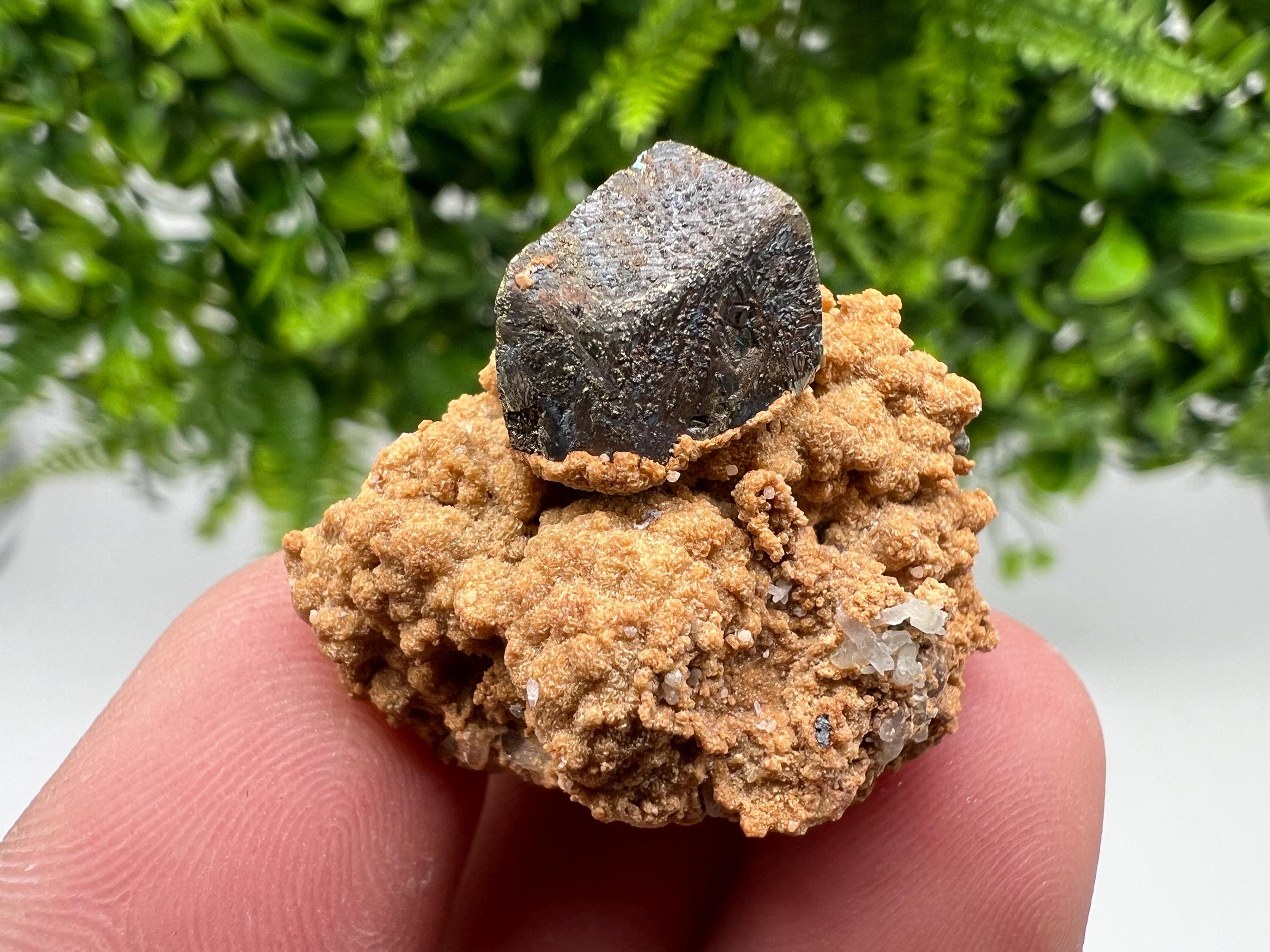 Chalcopyrite with Hematite on Siderite Specimen, Bulgaria Mineral Collection