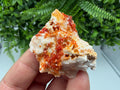 Red Vanadinite Crystal Cluster on Barite, Morocco Mineral Specimen