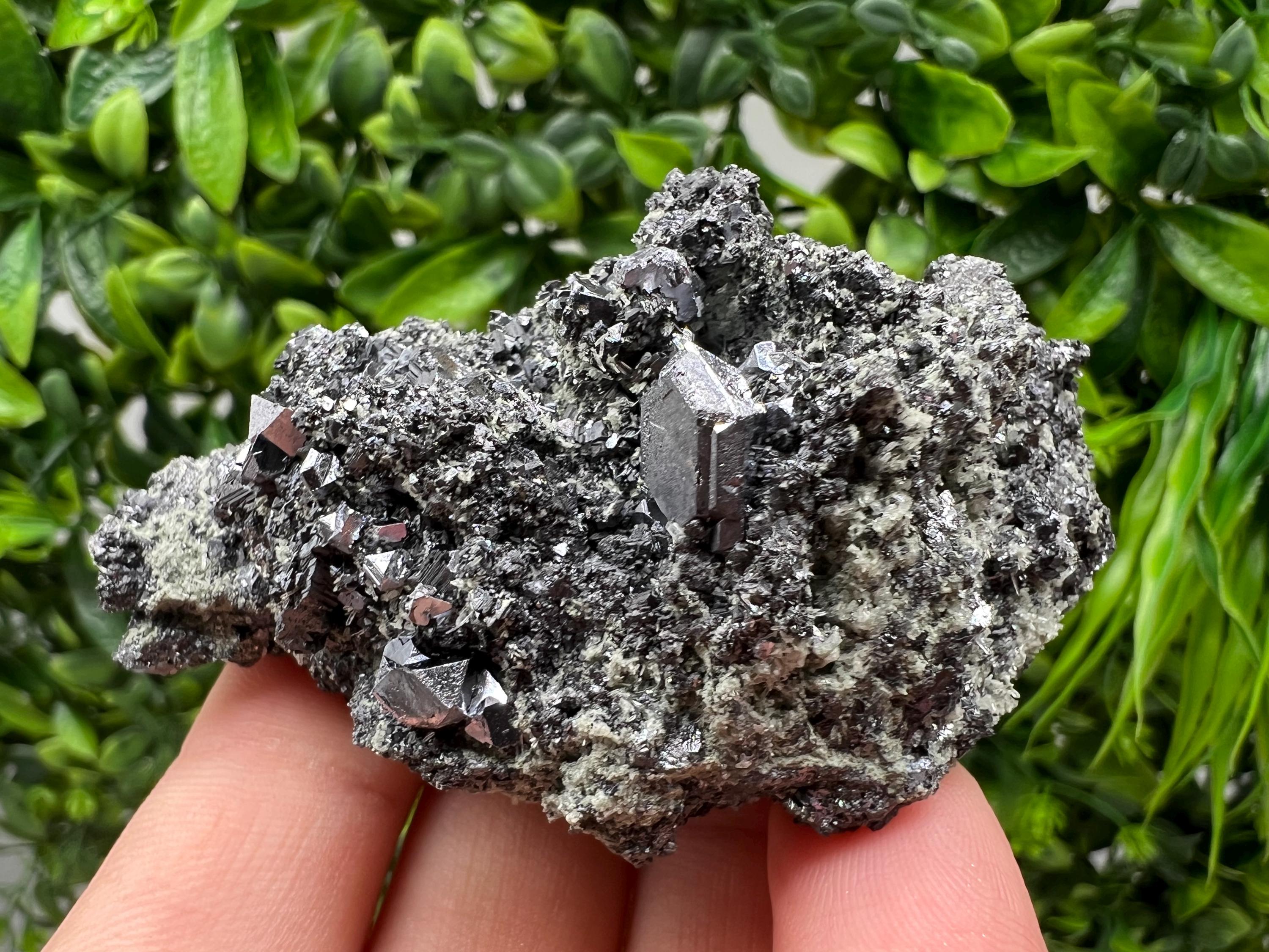Sphalerite Galena with Chlorite, Borieva Mine Madan Bulgaria