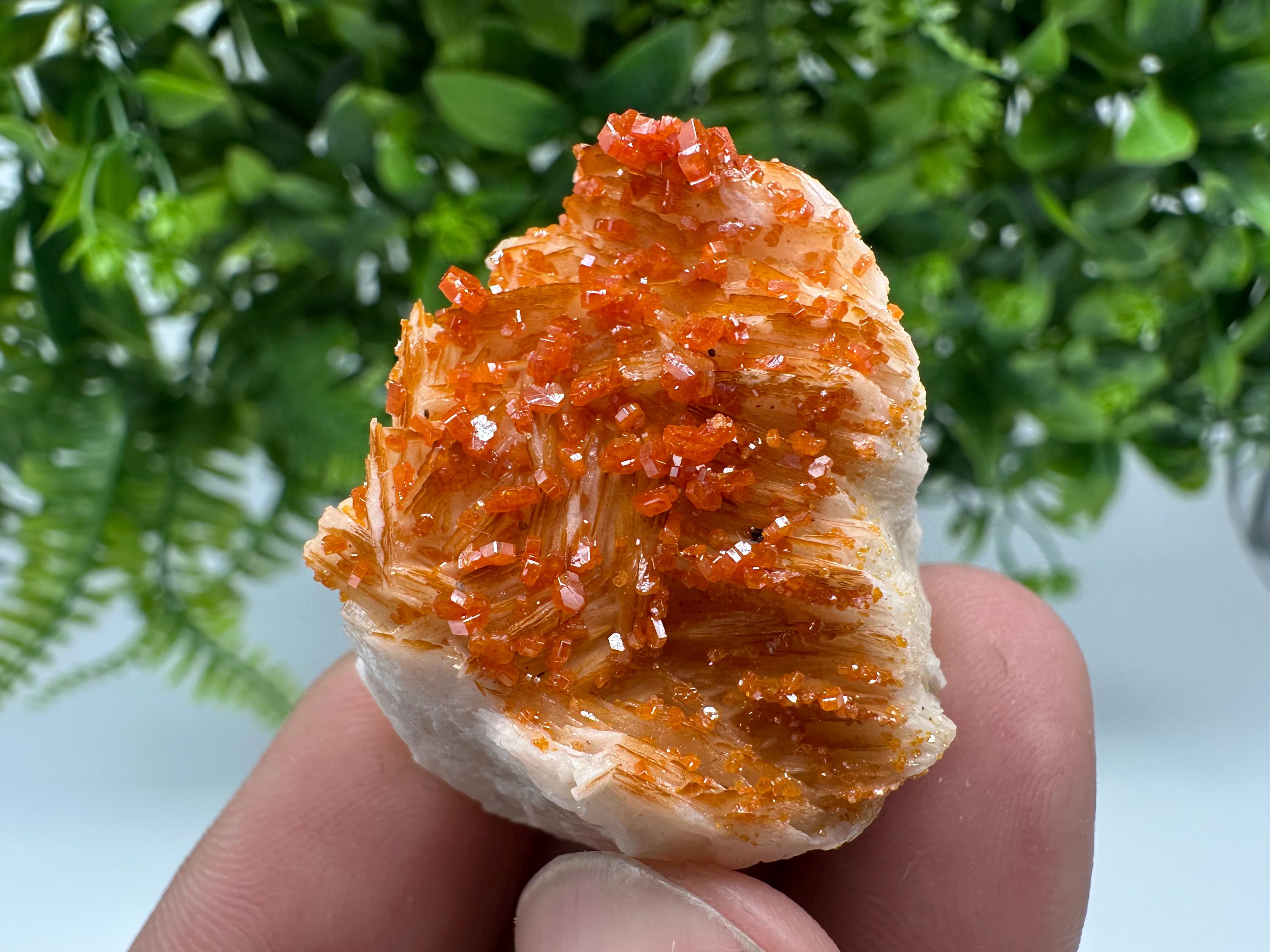 Red Vanadinite on Barite from Marocco,crystal minerals Speciment cluster Vanadinite crystal Vanadinite Geology Vanadinite cluster minerals
