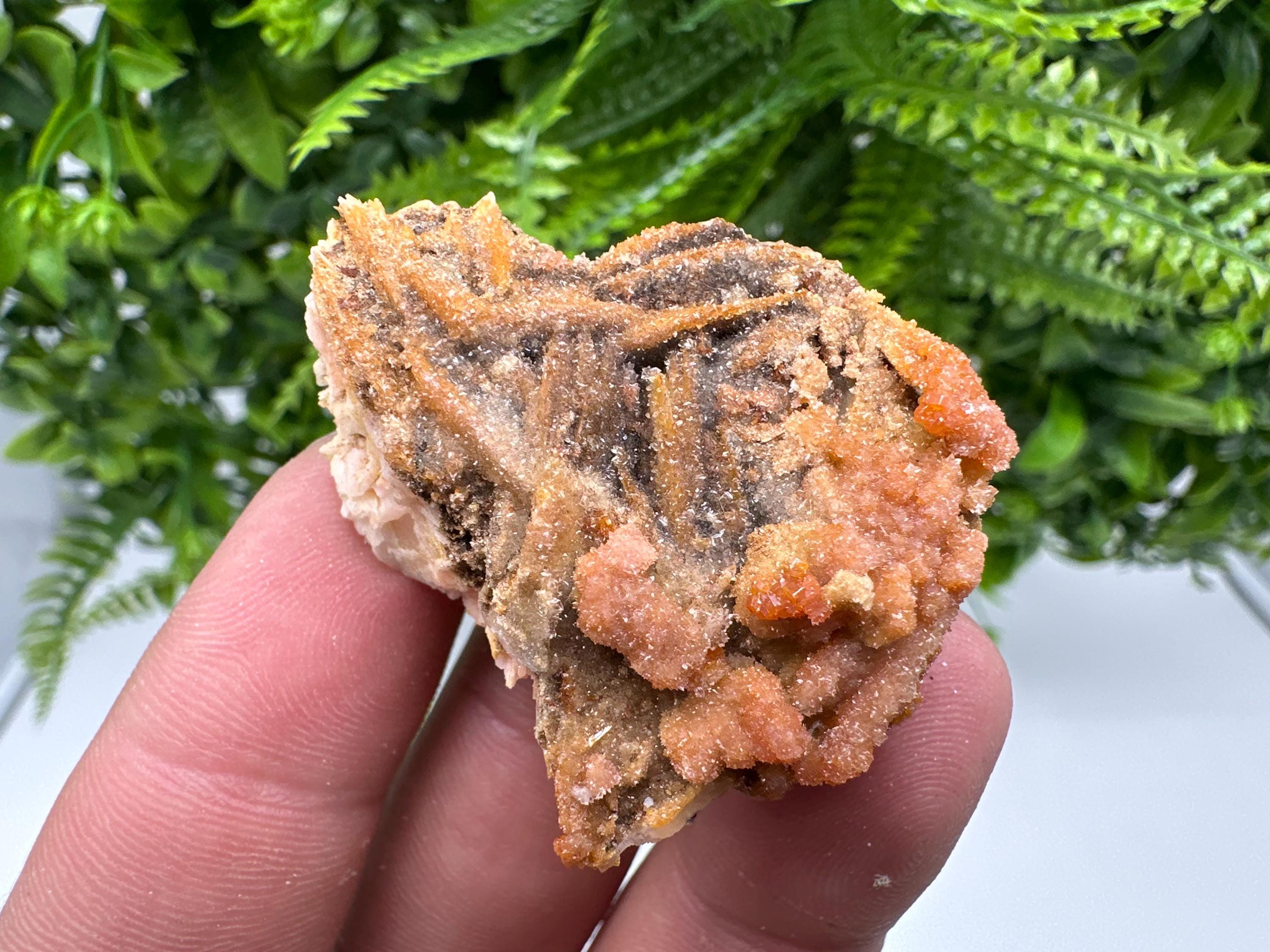 Red Vanadinite on Barite, Morocco Crystal Specimen