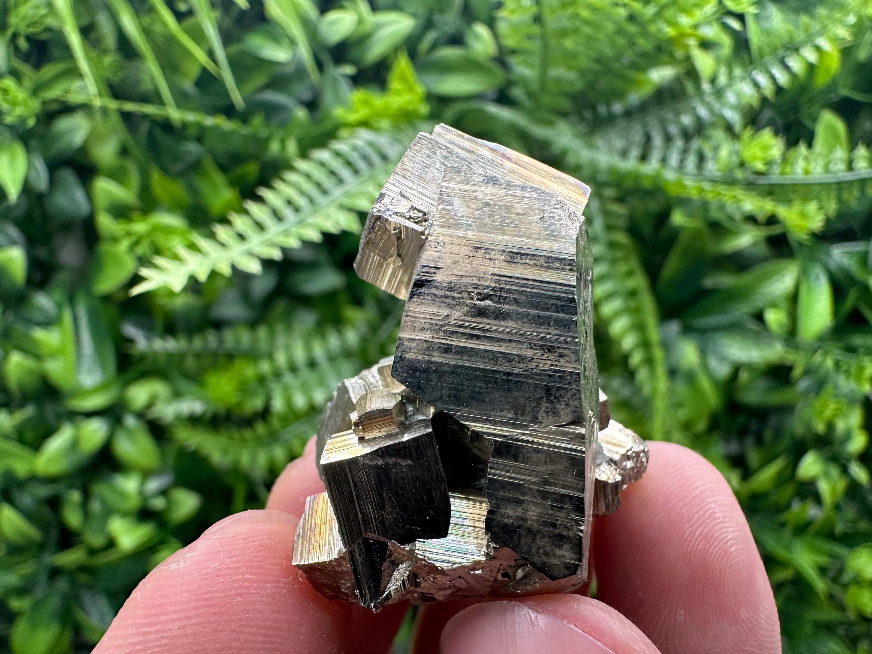 Rare Floating Pyrite Cluster - Borieva Mine - Home Decor Crystal