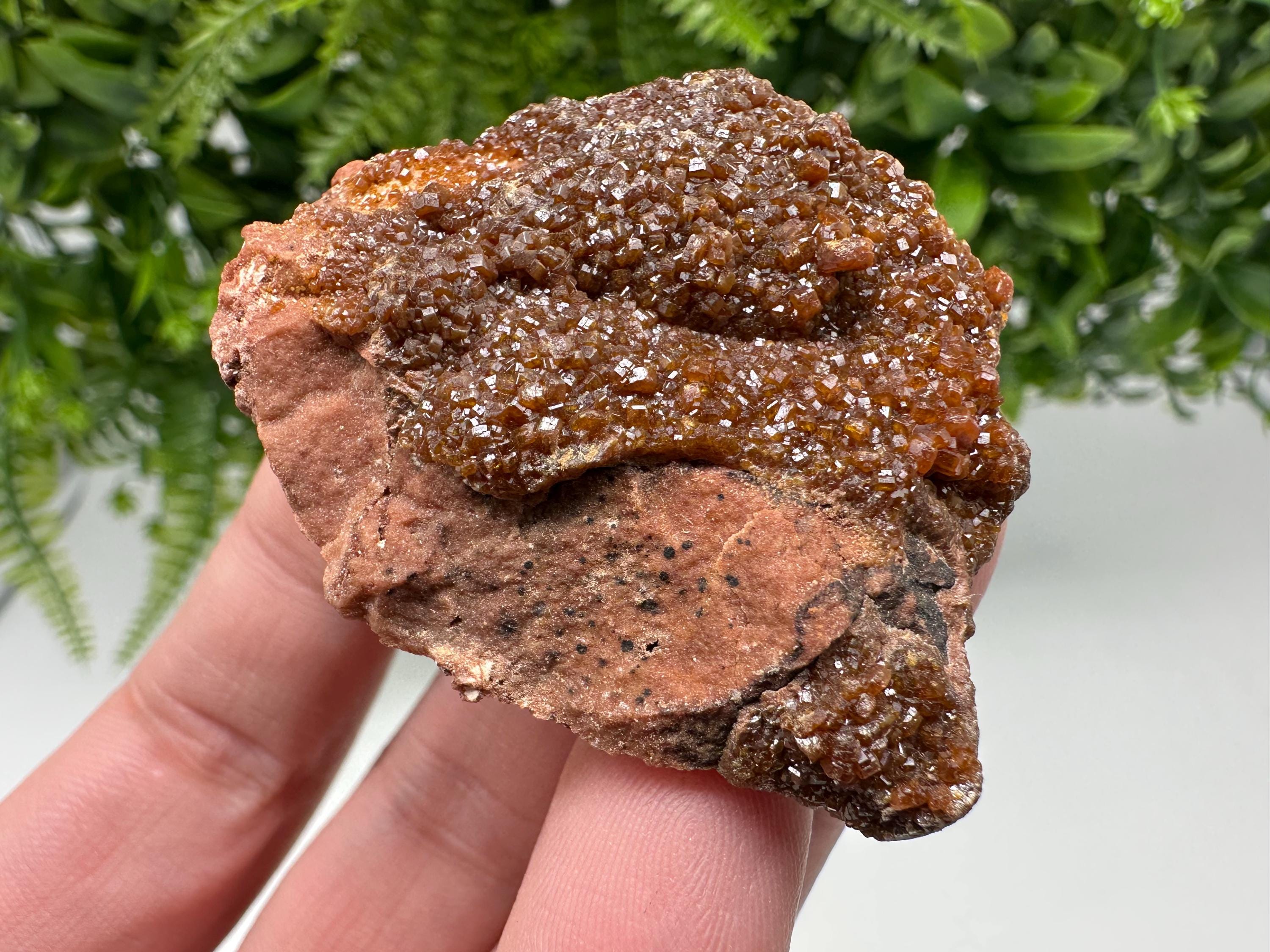 Red Vanadinite on Matrix from Marocco,crystal minerals Speciment cluster Vanadinite crystal Vanadinite Geology Vanadinite cluster minerals