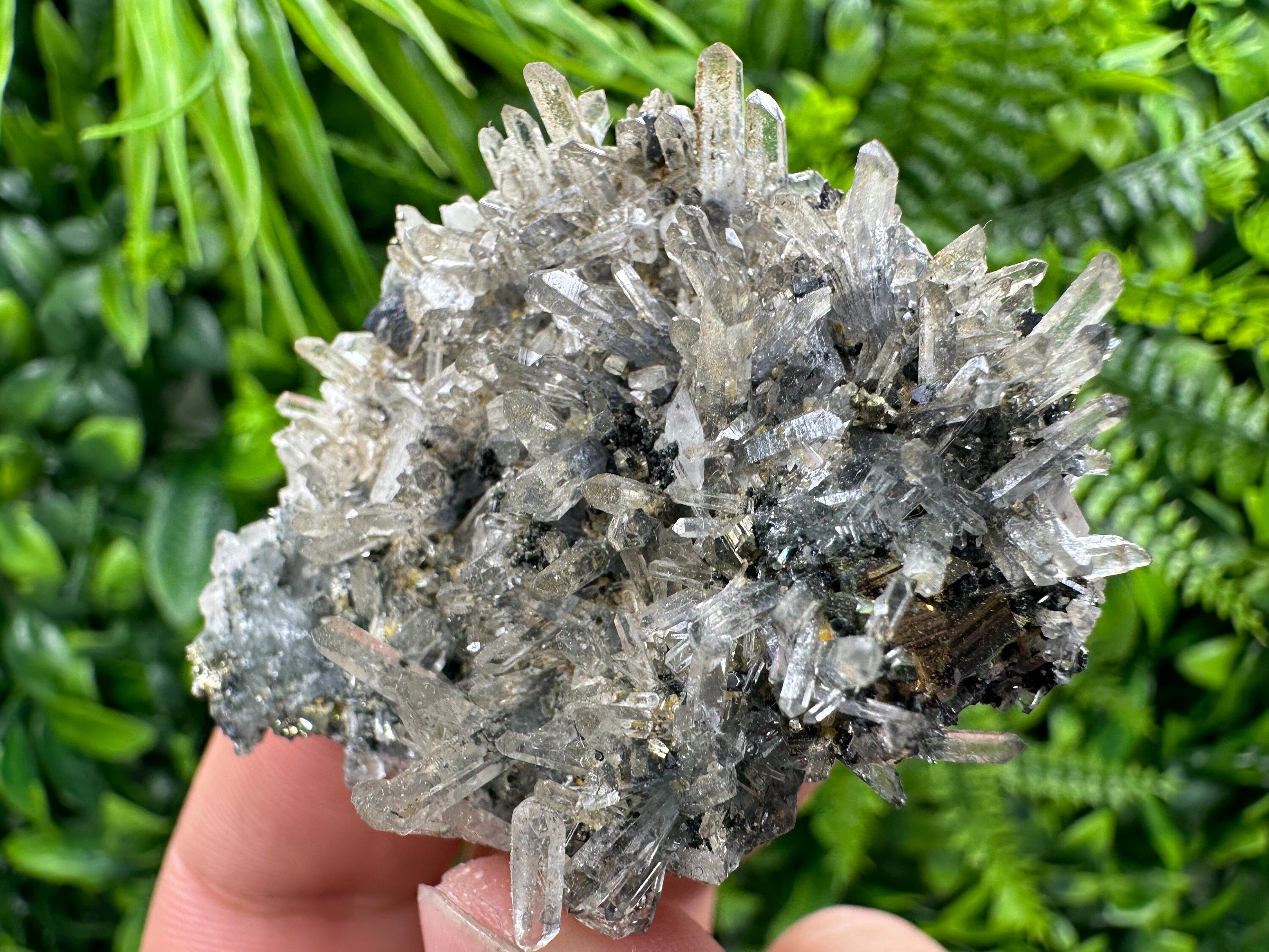Pyrite Galena on Green Quartz, Chlorite Mineral Specimen, Bulgaria