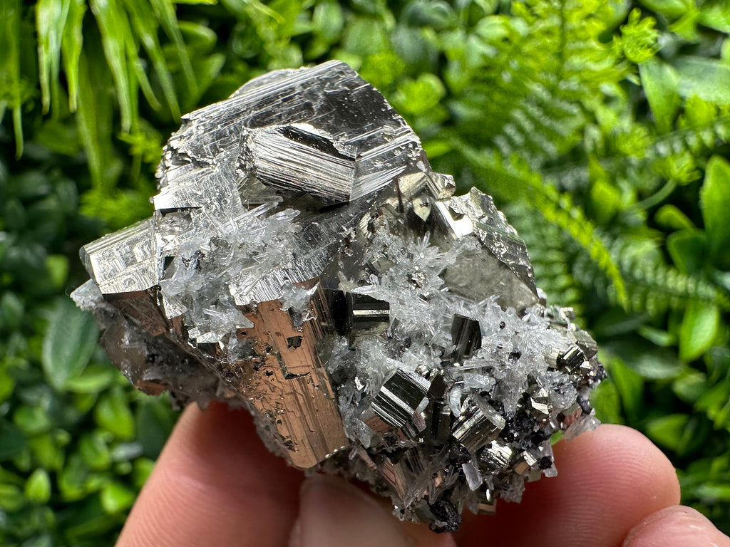 Pyrite on Needle Quartz: Chlorite Inclusions, Borieva Mine, Bulgaria