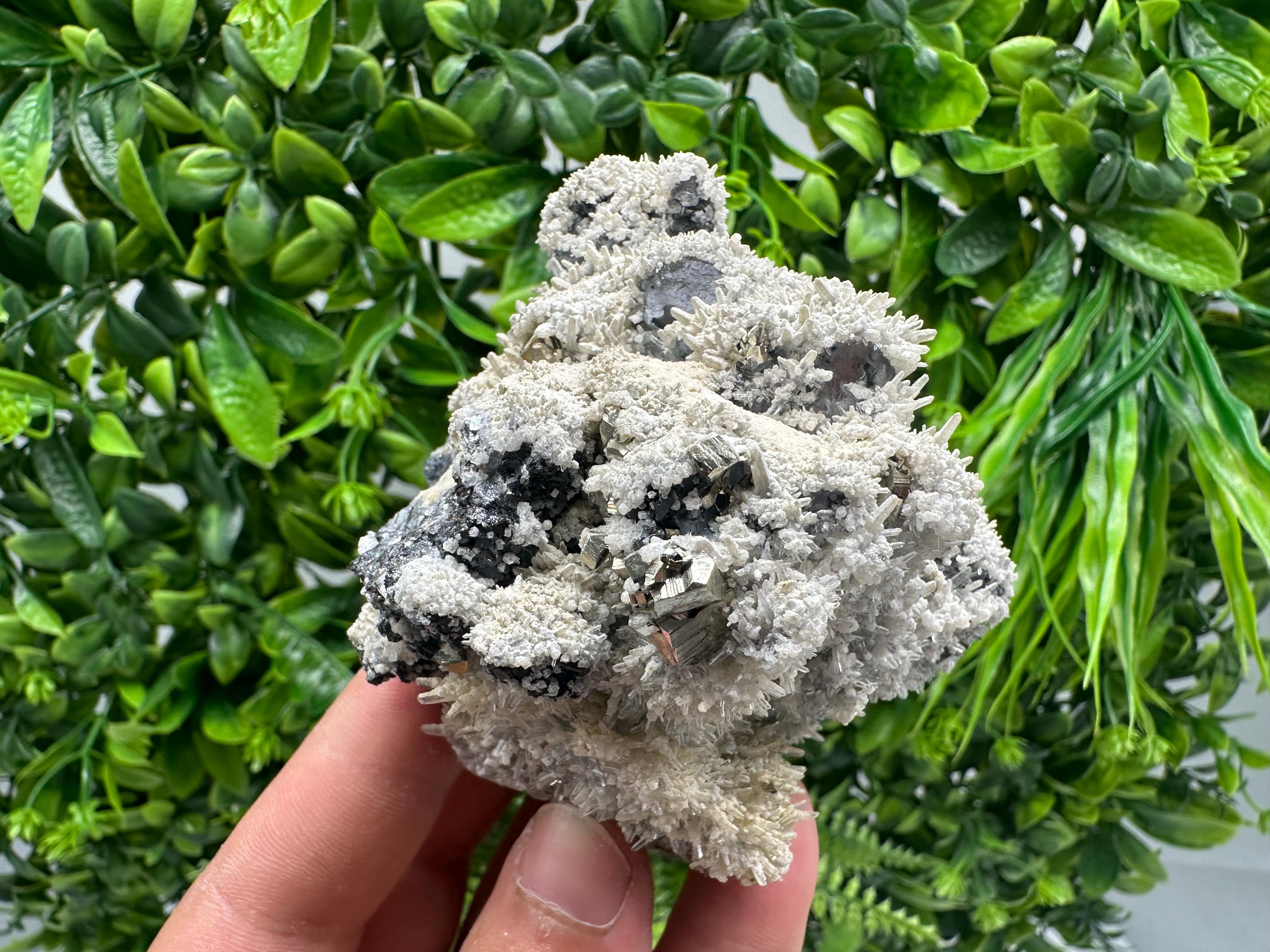 Galena Quartz Pyrite Specimen: Krushev Dol Mine Mineral Decor