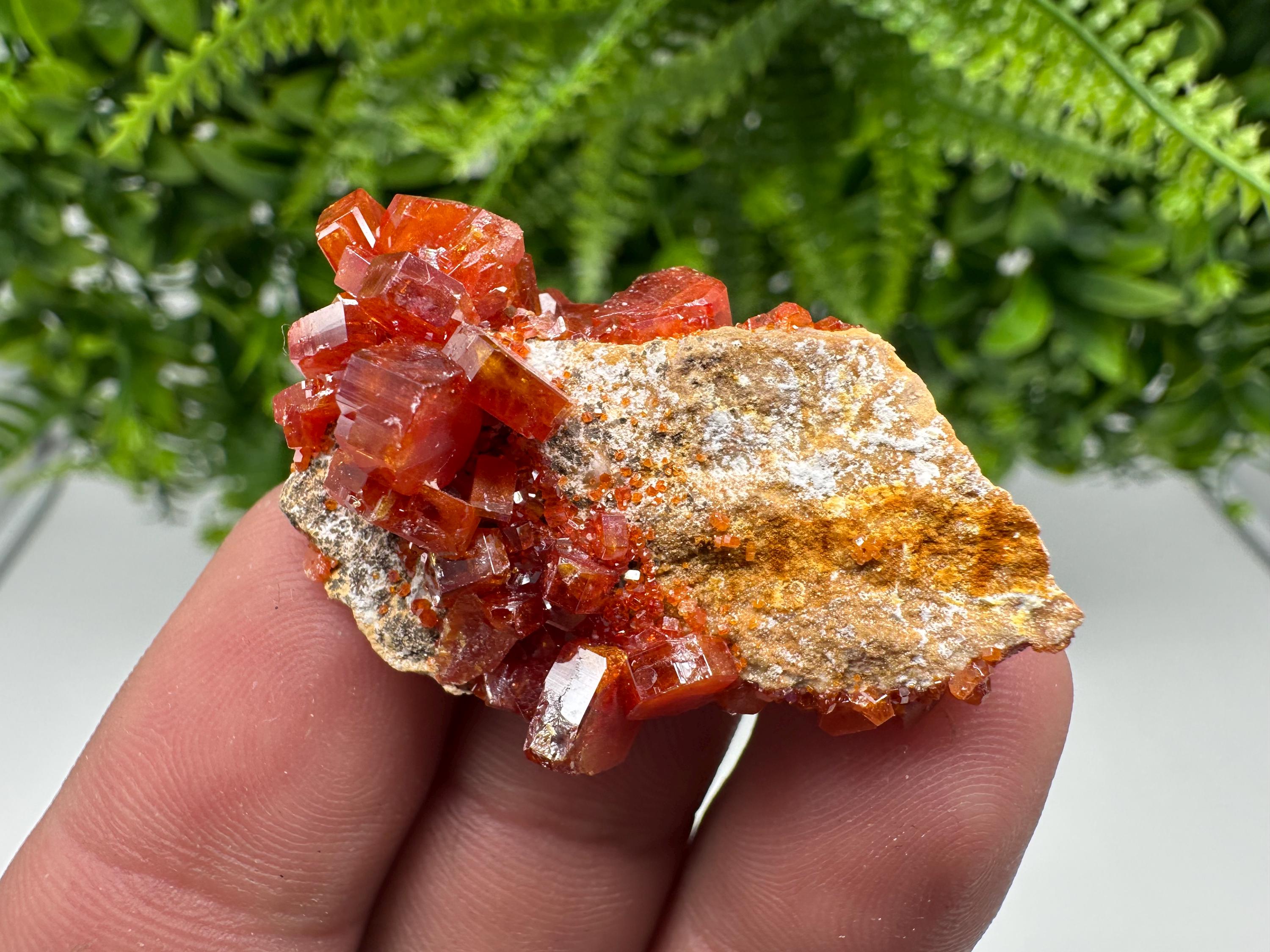 Red Vanadinite on Barite from Marocco,crystal minerals Speciment cluster Vanadinite crystal Vanadinite Geology Vanadinite cluster minerals