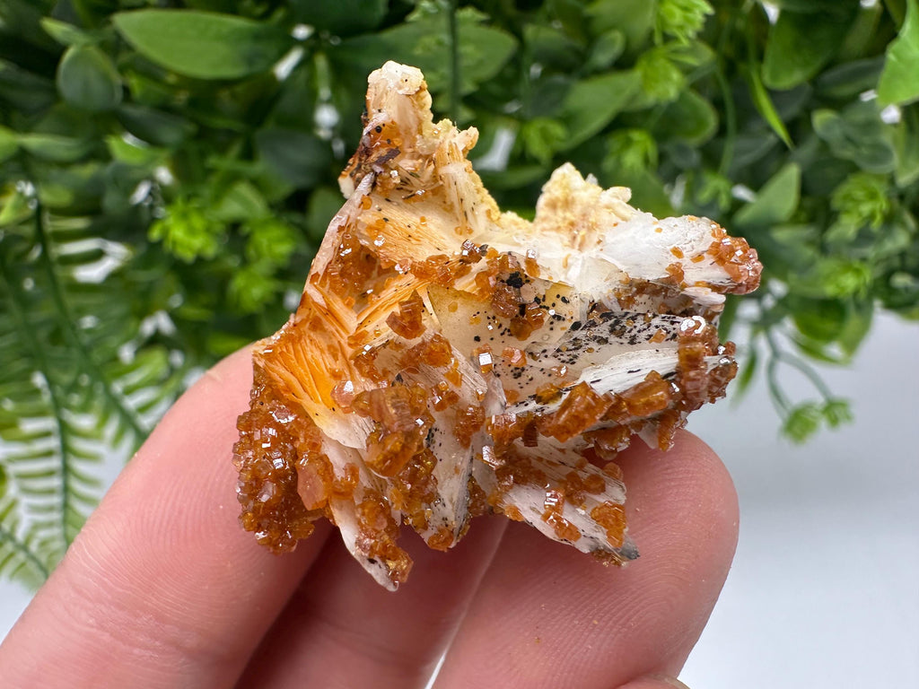 Red Vanadinite on Barite from Marocco,crystal minerals Speciment cluster Vanadinite crystal Vanadinite Geology Vanadinite cluster minerals