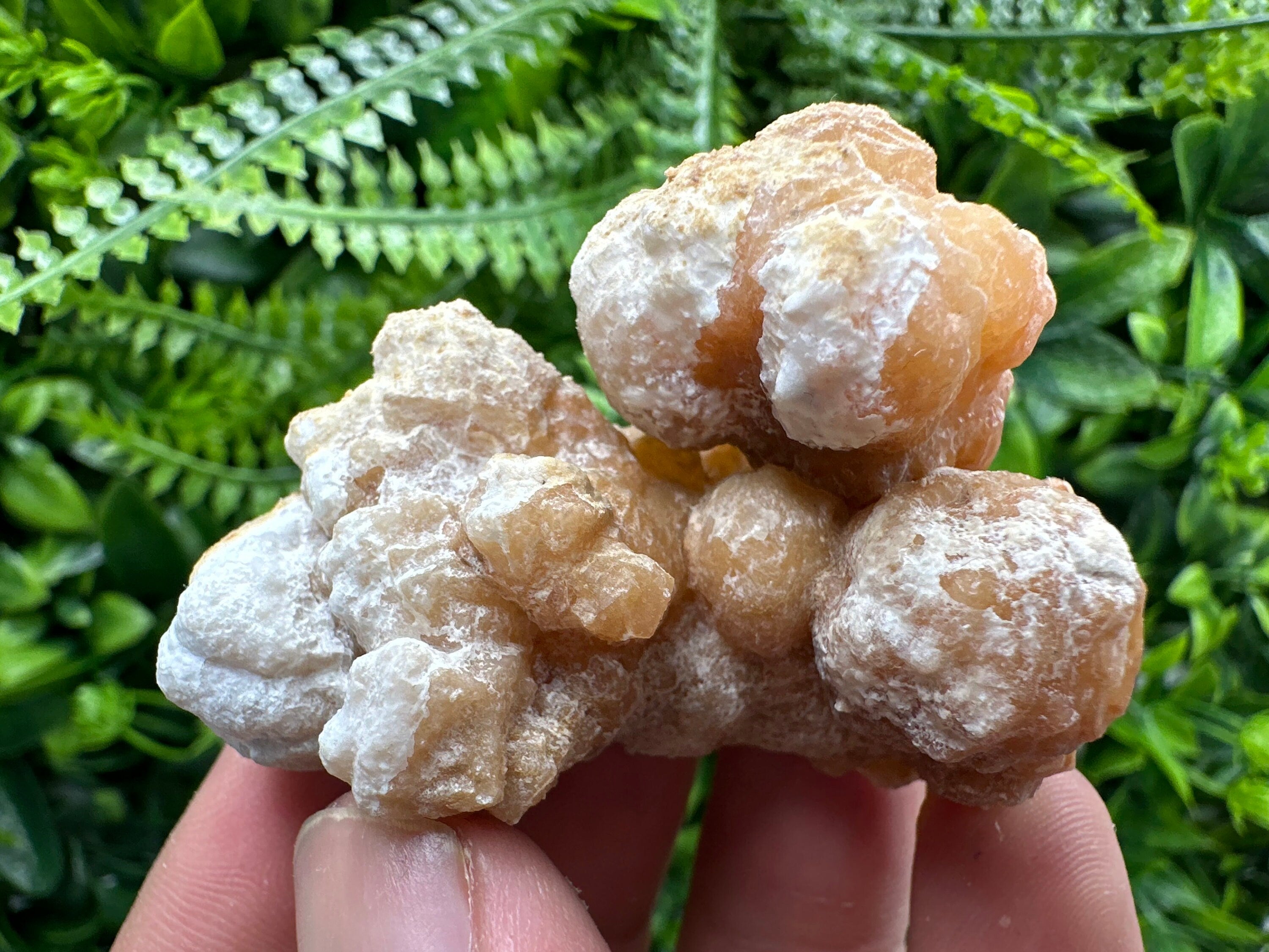 Aragonite Cluster, Dimitrovgrad Bulgaria, Mineral Specimen