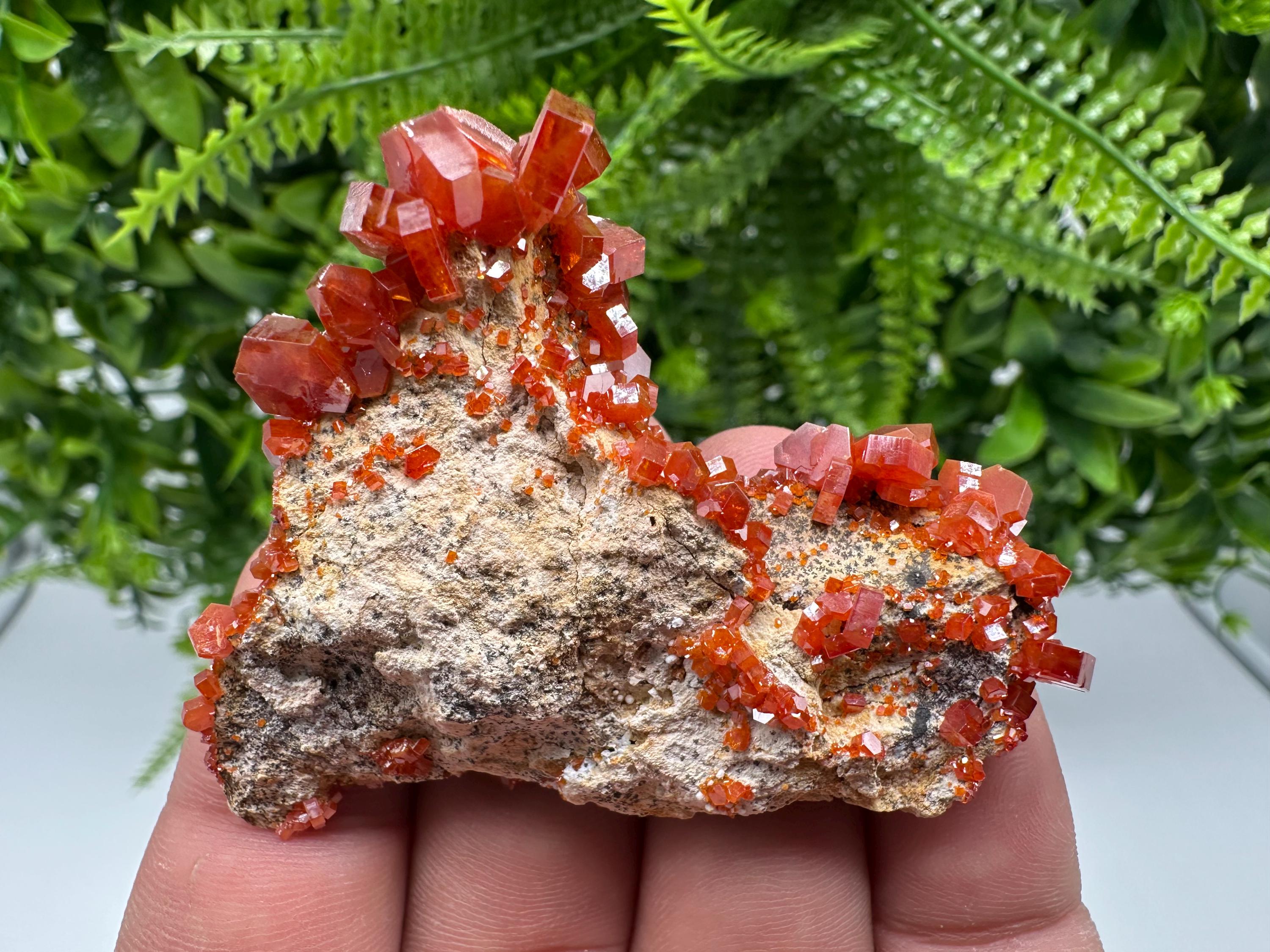 Red Vanadinite on Barite from Marocco,crystal minerals Speciment cluster Vanadinite crystal Vanadinite Geology Vanadinite cluster minerals
