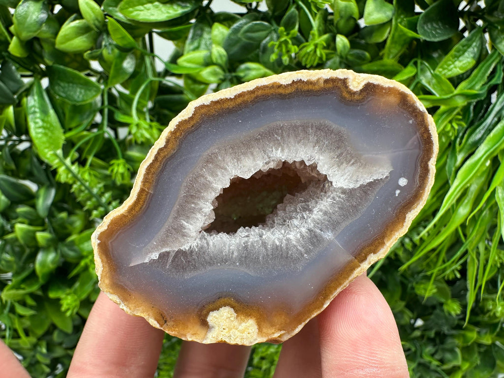 Blue Agate Druzy Geode: Natural Quartz Crystal (7/6.5/5.5cm)