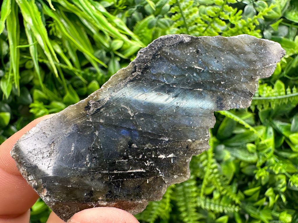 Polished Multifire Labradorite Slab: Raw Crystal Decor