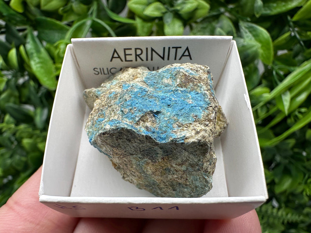 Rare Raw Aerinite Mineral Specimen: Lleida, Spain Crystal