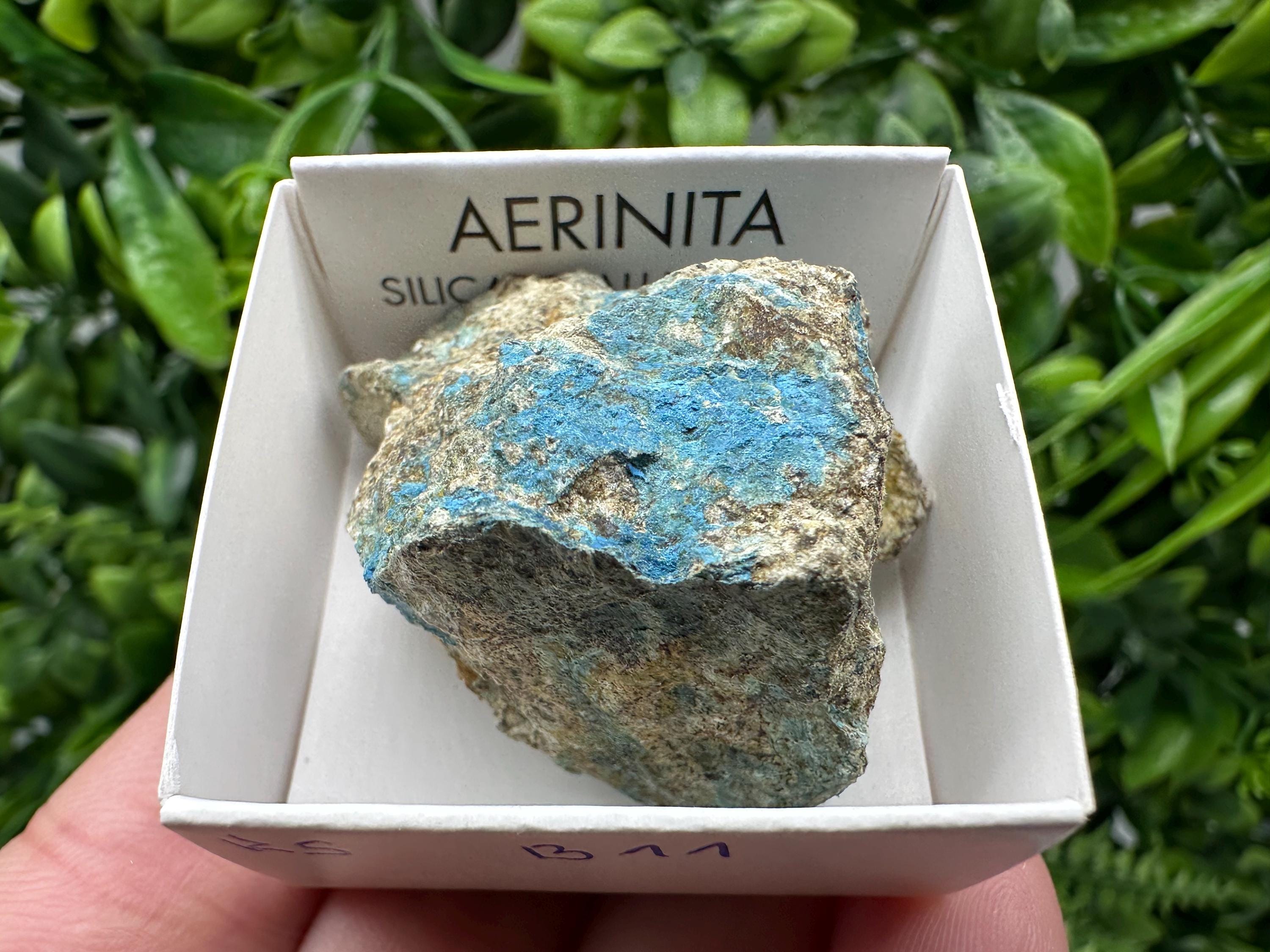 Rare Raw Aerinite Mineral Specimen: Lleida, Spain Crystal