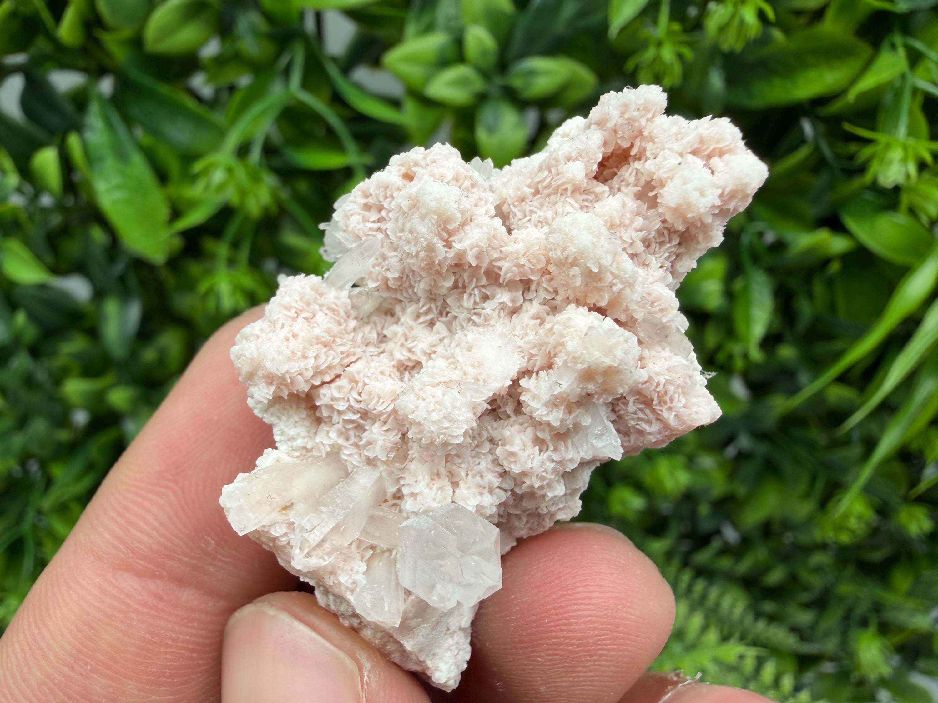 Stunning Quartz whit Chlorite on Rhodochrosite covered whit siderite natural minerals souvenir crystal home decor stone 9th September mine