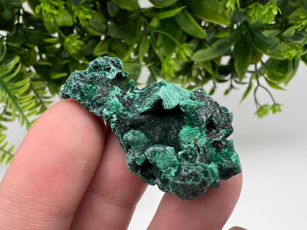 Malachite Crystal from Congo,Minerals,Crystals from Congo,Green Malachite, Malachite,Natural Malachite,Malachite Stone,Chakra, Specimens