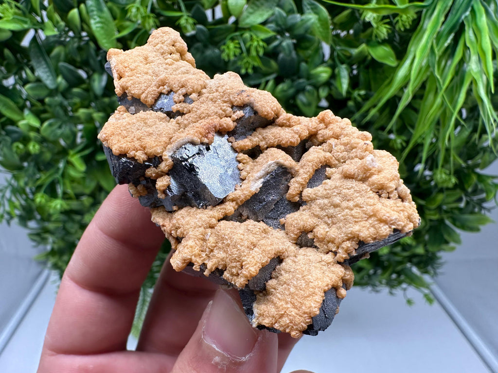 Wonderful Skeletal,Spinel law Galena whit Siderite,Sphalerite,from Krushev dol mine,Bulgaria,natural minerals,collection crystal,home decor