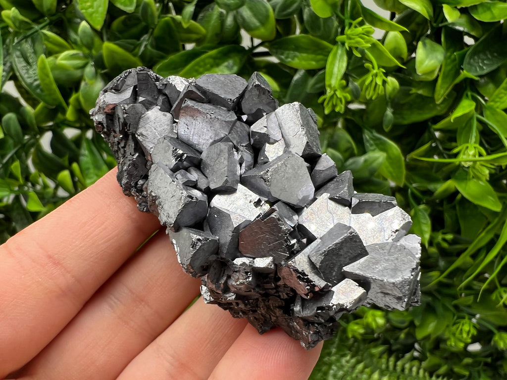 Galena with Sphalerite Mineral Specimen, Borieva Mine, Bulgaria