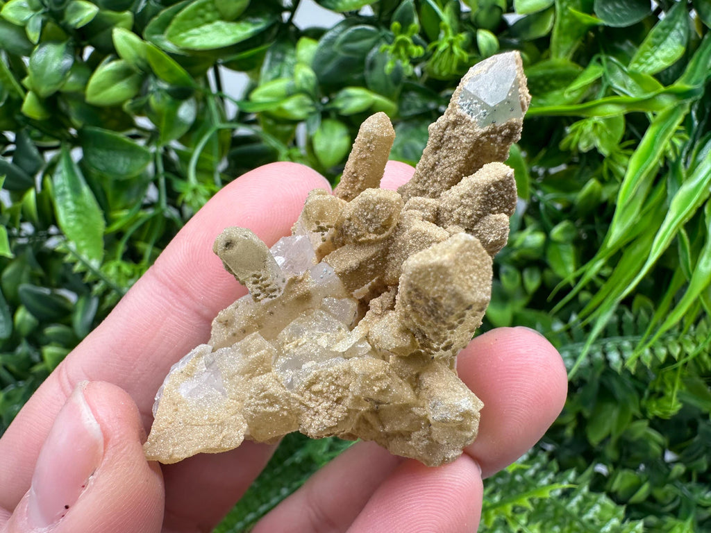 Quartz Rhodochrosite Cluster, Bulgaria Mineral Specimen