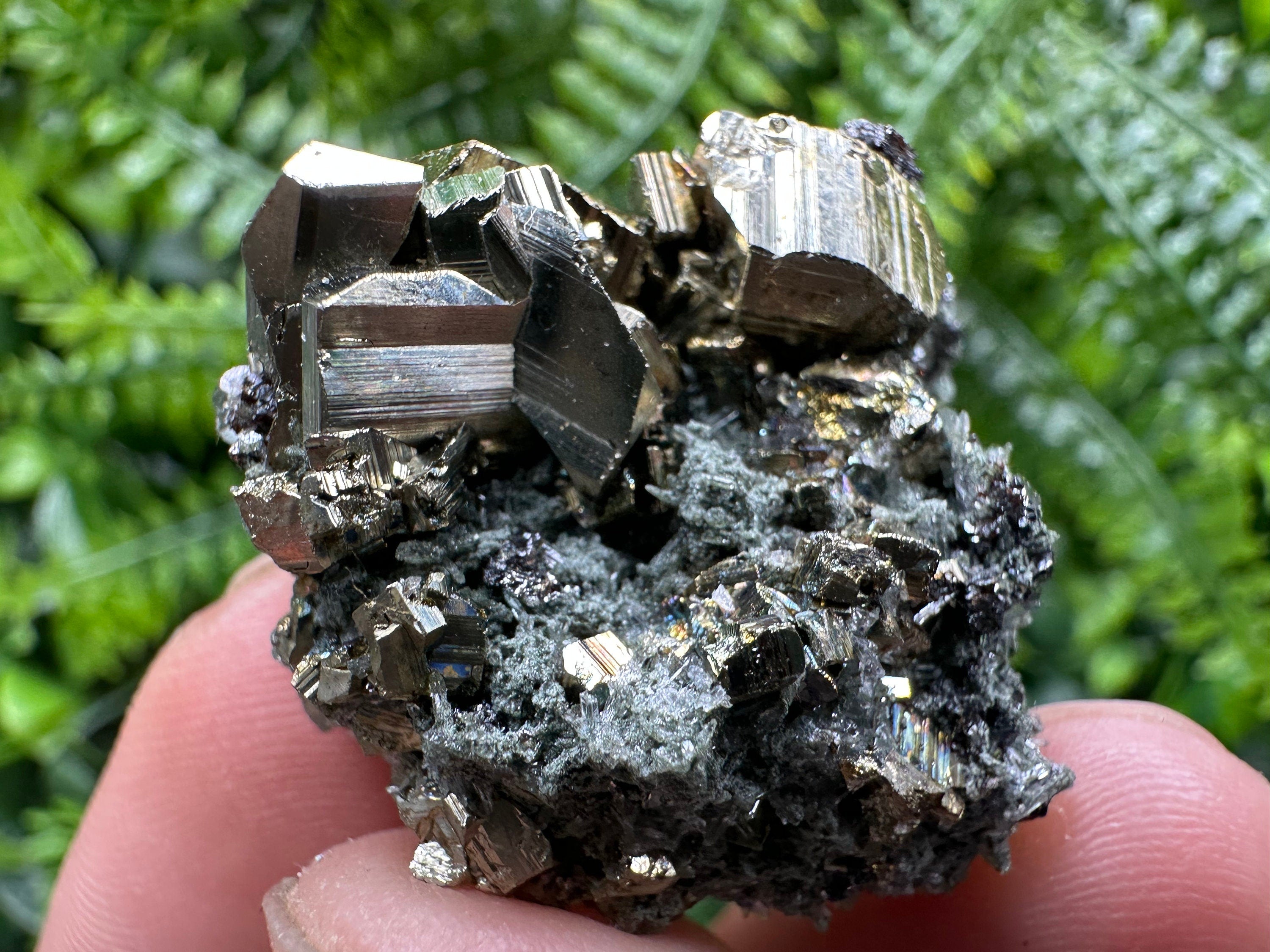 Pyrite on Quartz with Chlorite, Natural Crystal Mineral Specimen
