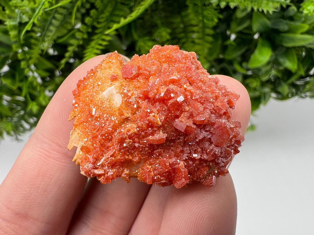 Red Vanadinite Crystal Cluster on Barite, Morocco Mineral Specimen