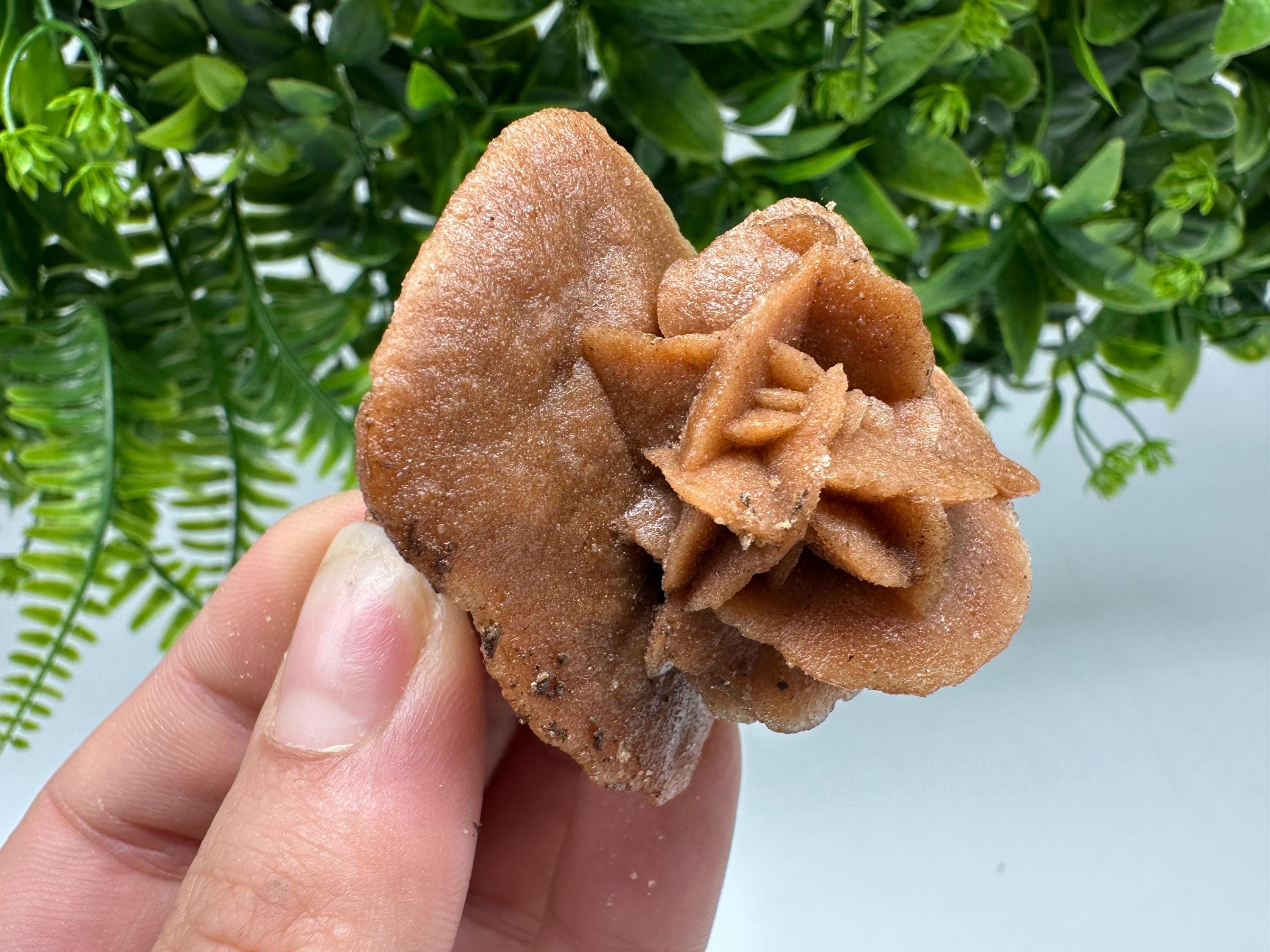 Natural Desert Rose Crystal – Root Chakra Selenite Stone, Home Decor