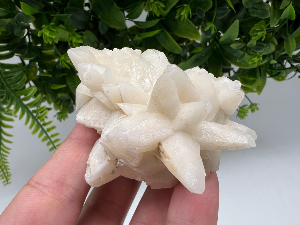 Calcite on Green Quartz: Djurcovo Mine, Bulgaria Healing Crystal
