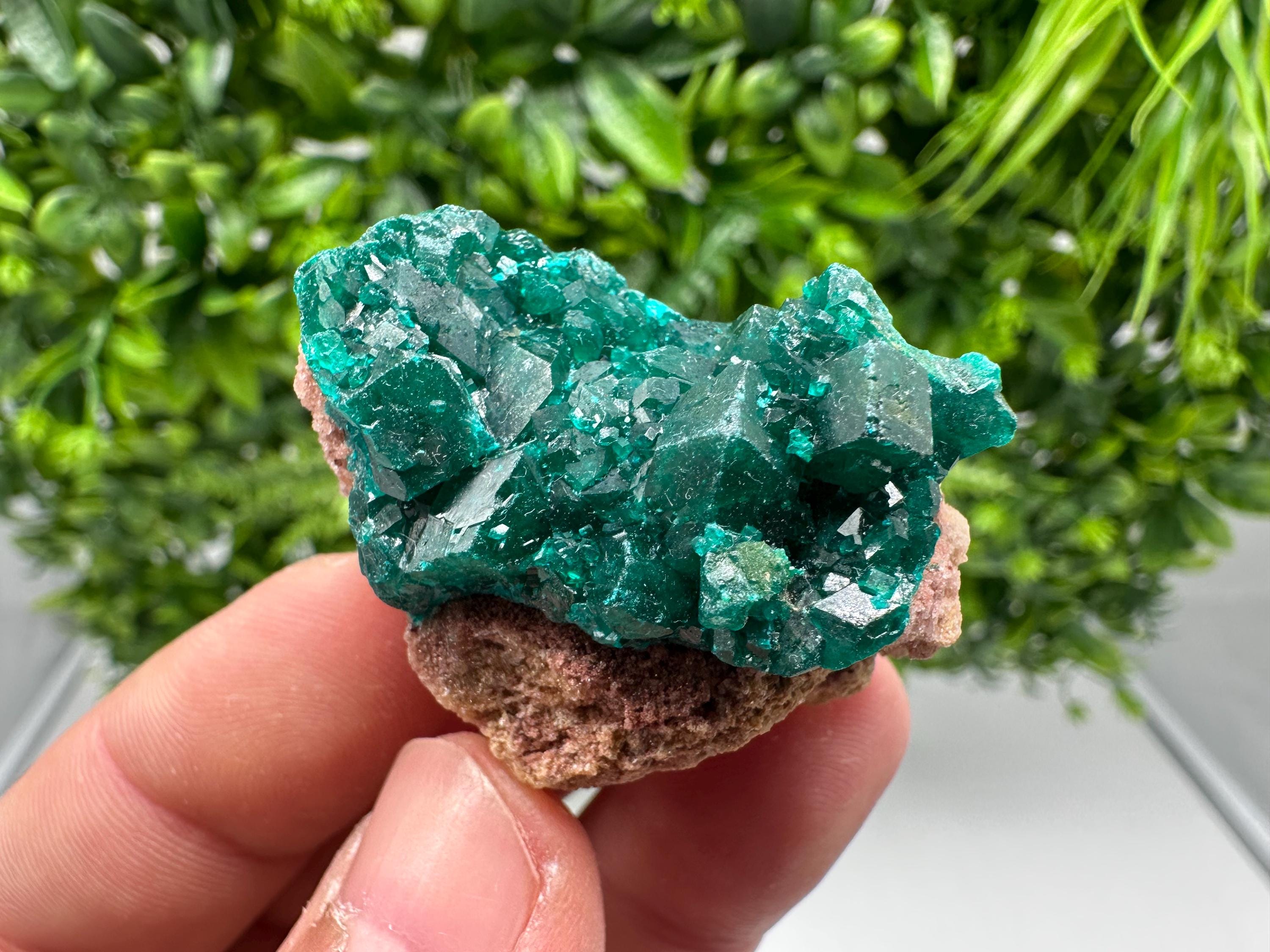 Stunning Green Dioptase from Sanda Hills,Mindouli,Pool Department,Mindouli District,Congo,green Dioptase,Dioptas Crystal,Dioptase collecting