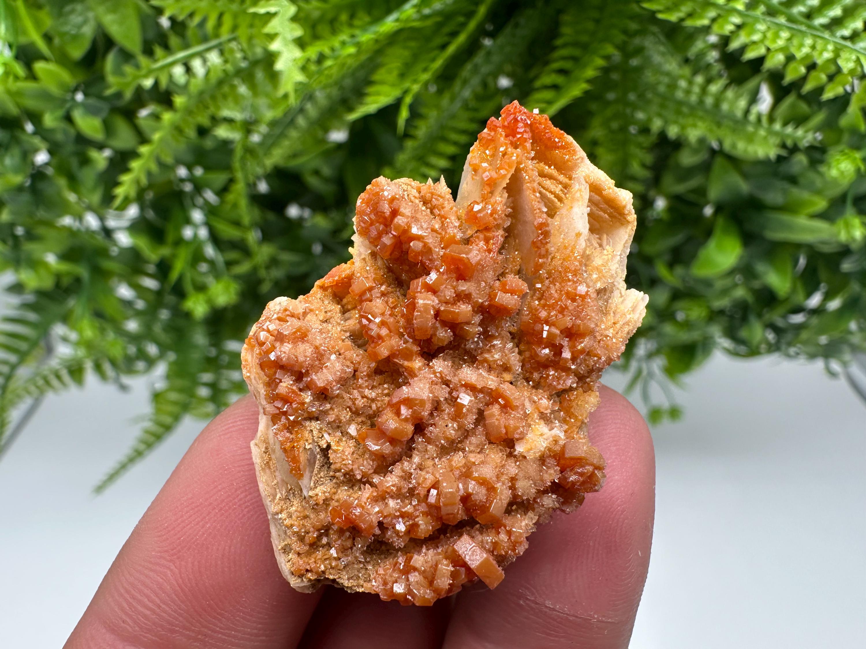 Red Vanadinite on Barite Specimen, Morocco Crystal Cluster