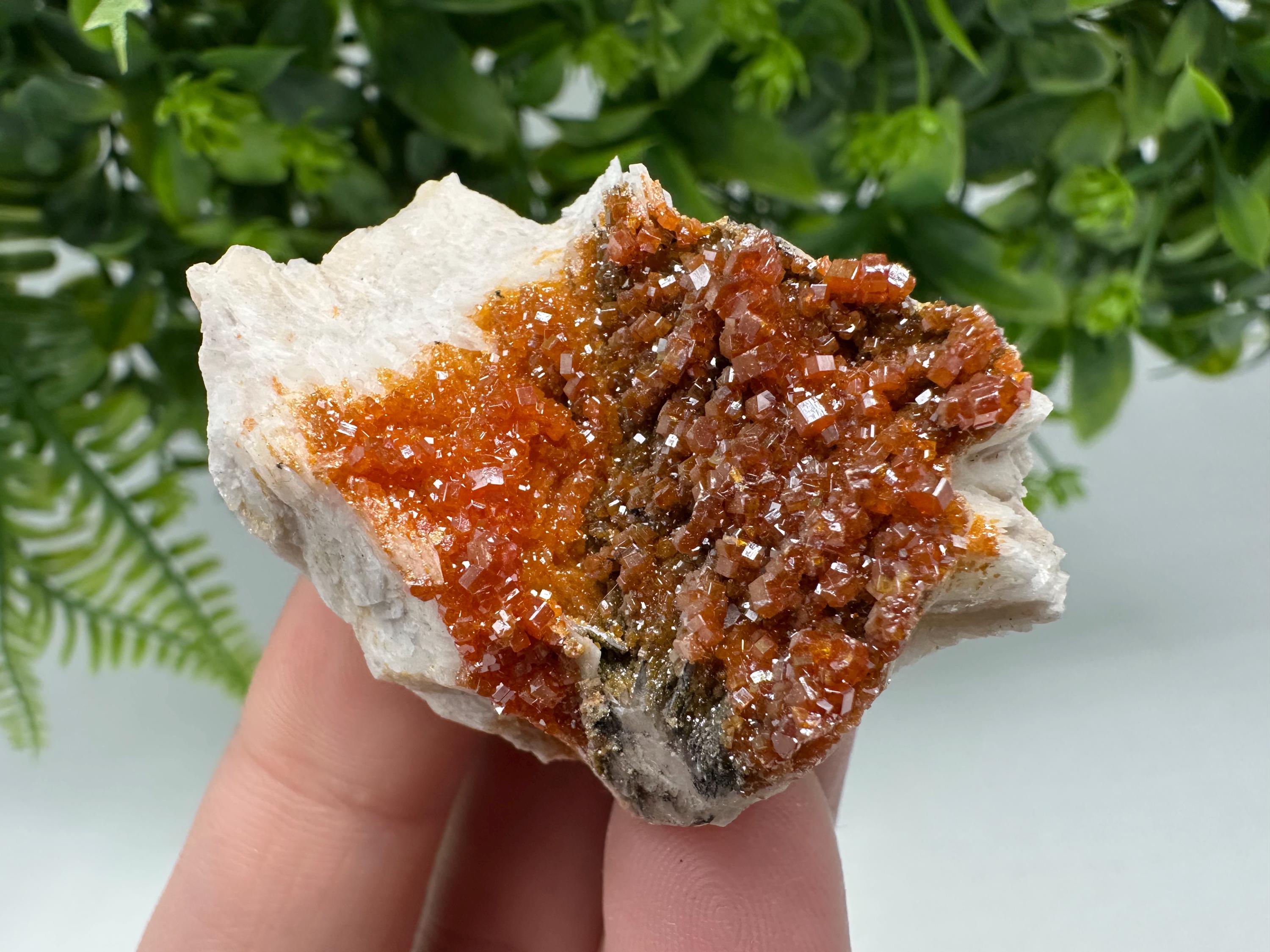 Red Vanadinite on Barite Cluster, Moroccan Mineral Specimen (5/3.5/2.5 cm)