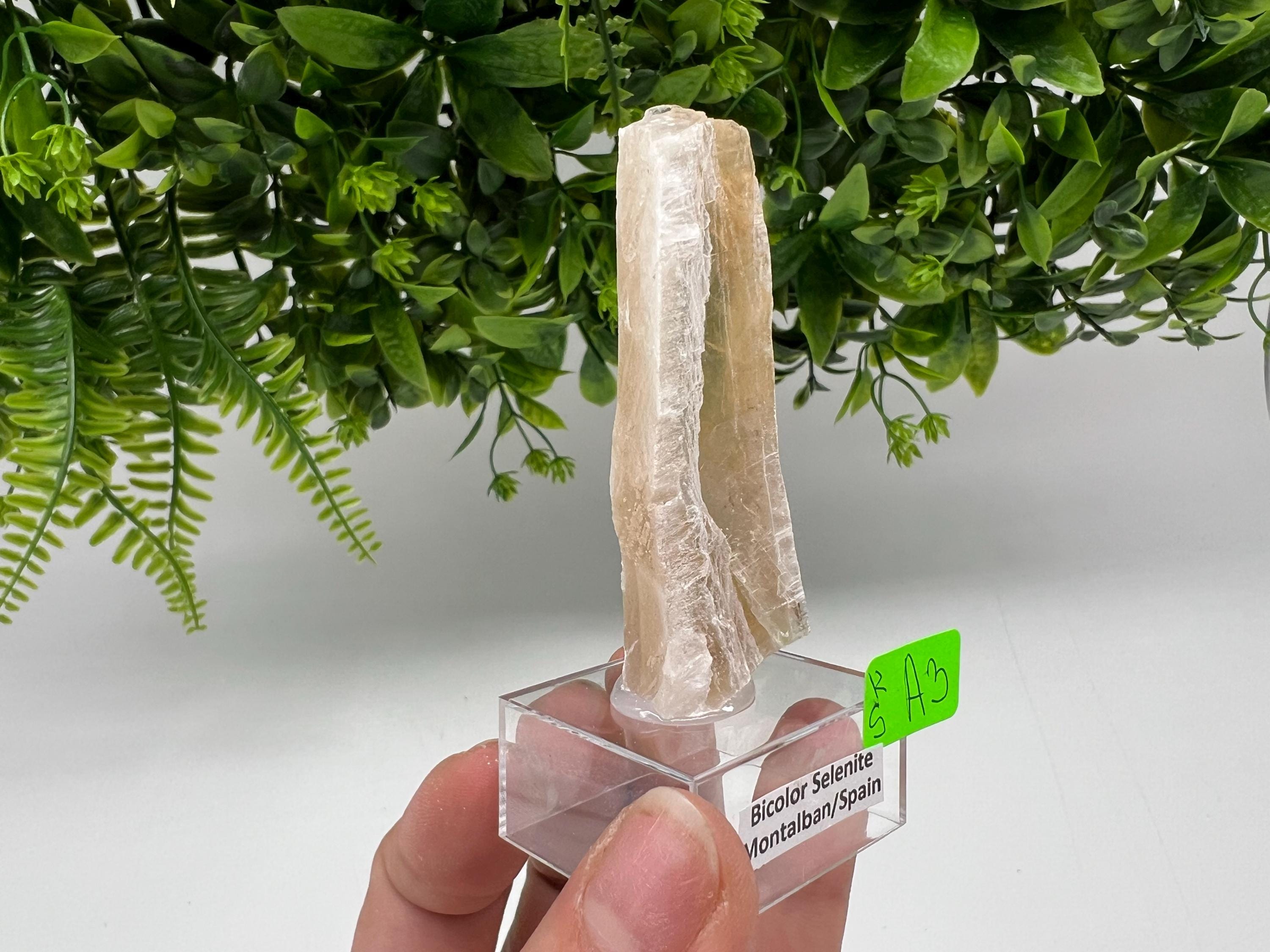 Golden Phantom Selenite Slab: Utah Raw Fishtail Selenite Wand
