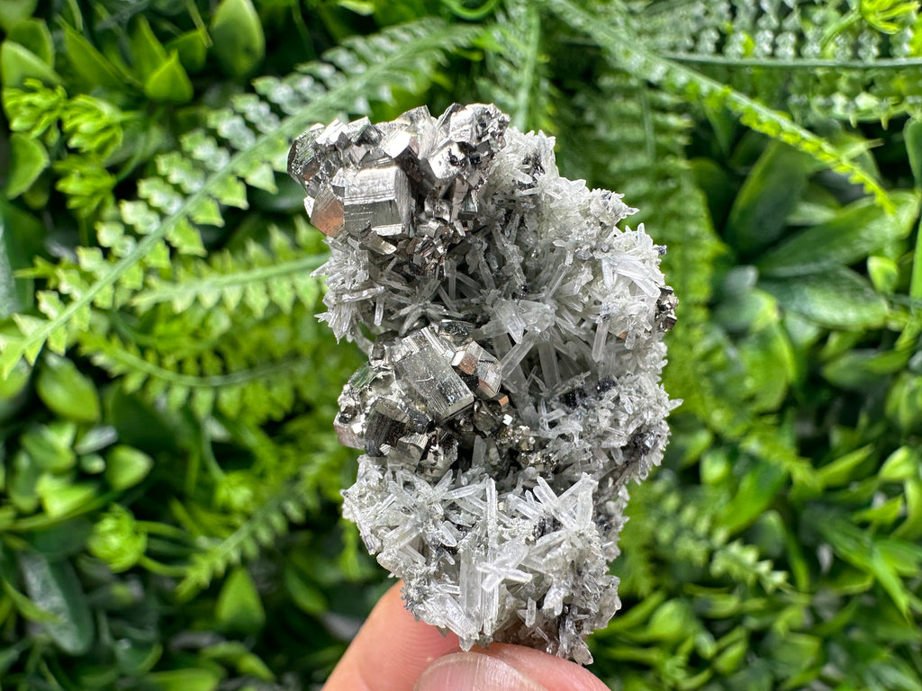 Pyrite on Green Quartz, Borieva Mine Mineral Specimen